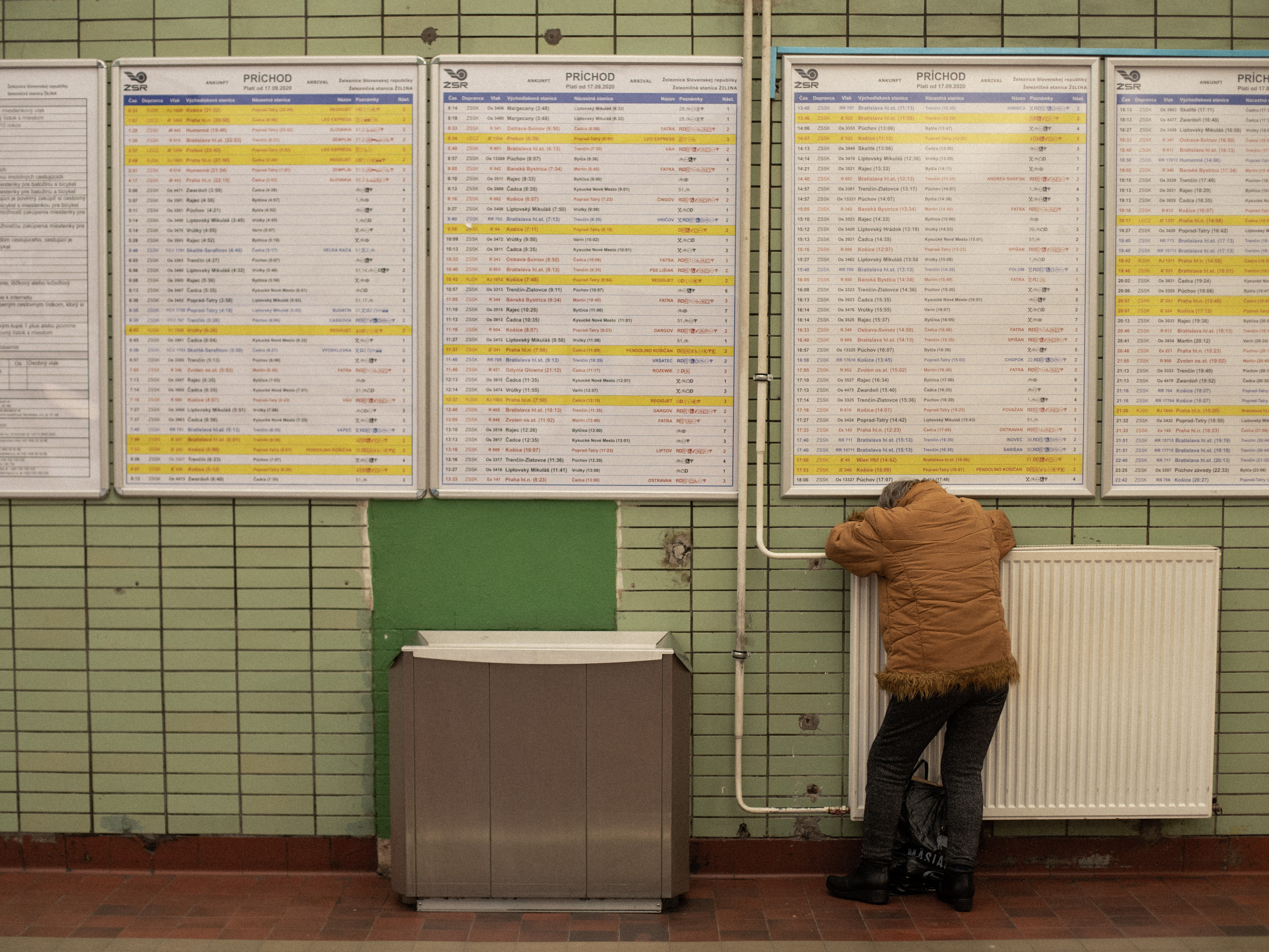 hometown morning glory