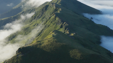 PhotoShelter + Adobe CC Connector