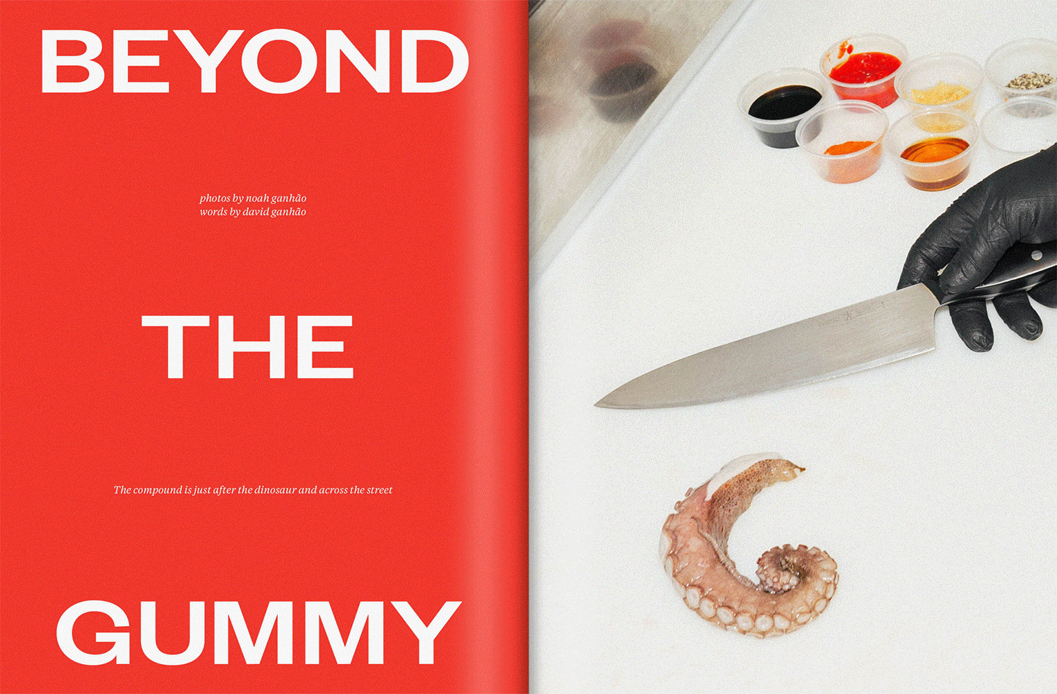 LUSO LIFE MAGAZINE 009: ART DIRECTION, DESIGN, PHOTOGRAPHY