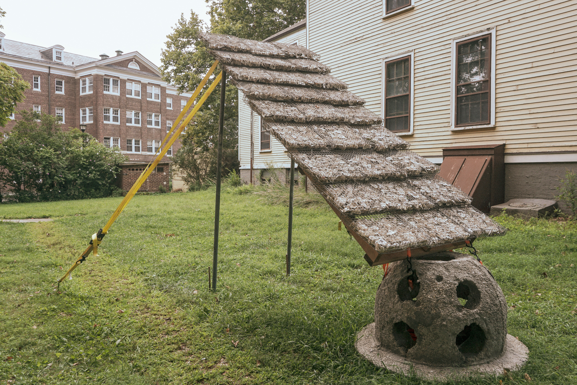 A Billion Oyster Workshop