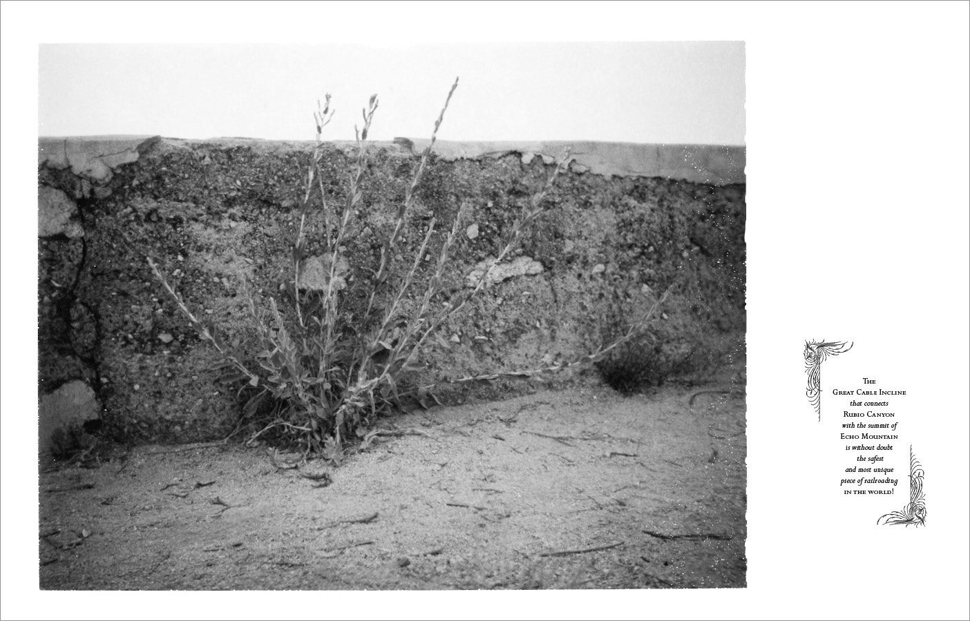 BOOK / APOCALYPSE THEME PARK