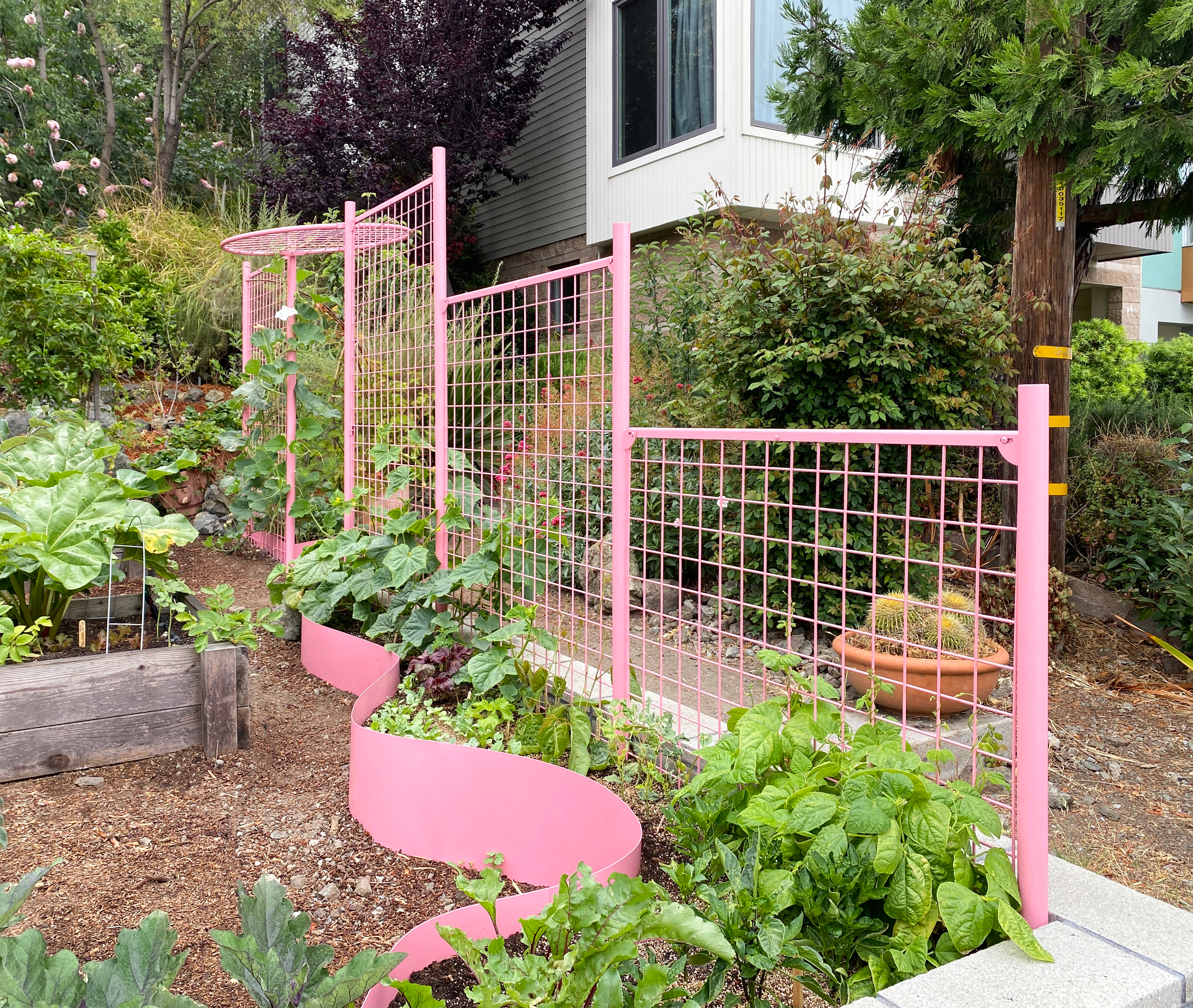 Pink Trellis