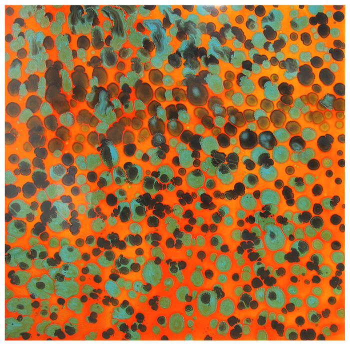 FloatLikeaButterflyStingLikeaBee #14, 2004, oil on aluminum, 32"x32