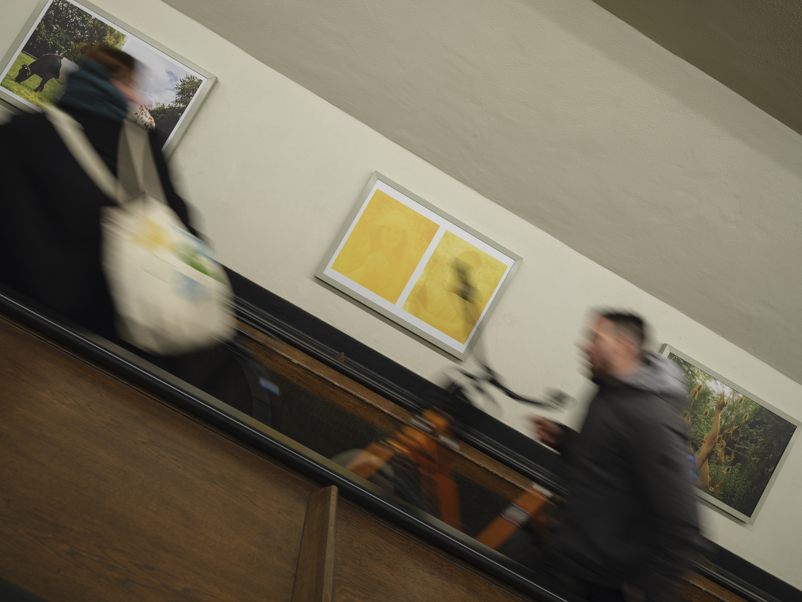 exhibition view