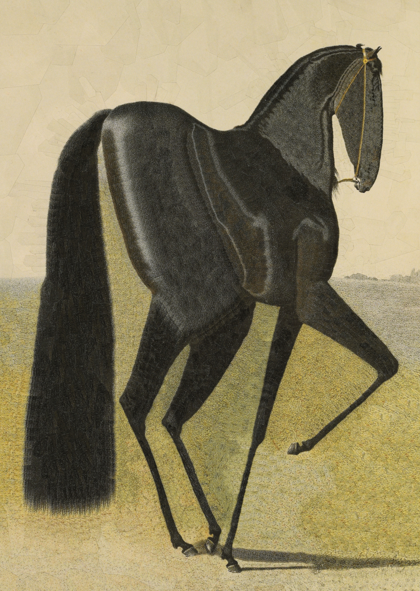 Spectral after Volkers, 2023, 11.6 x 8.2 inches