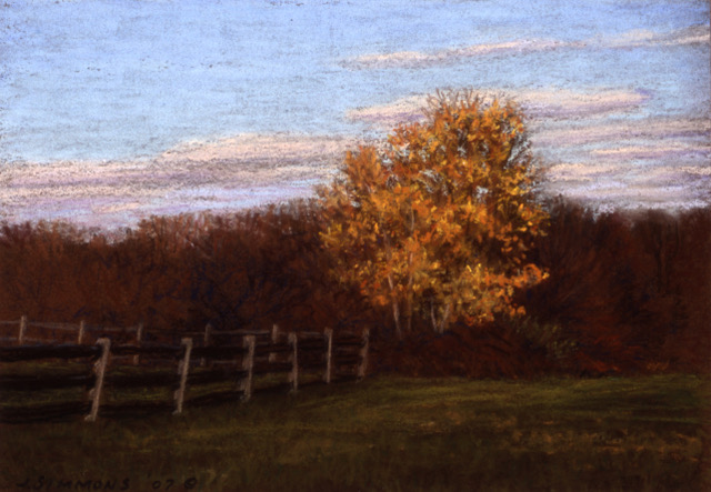 P1.33 - Why the fox is red