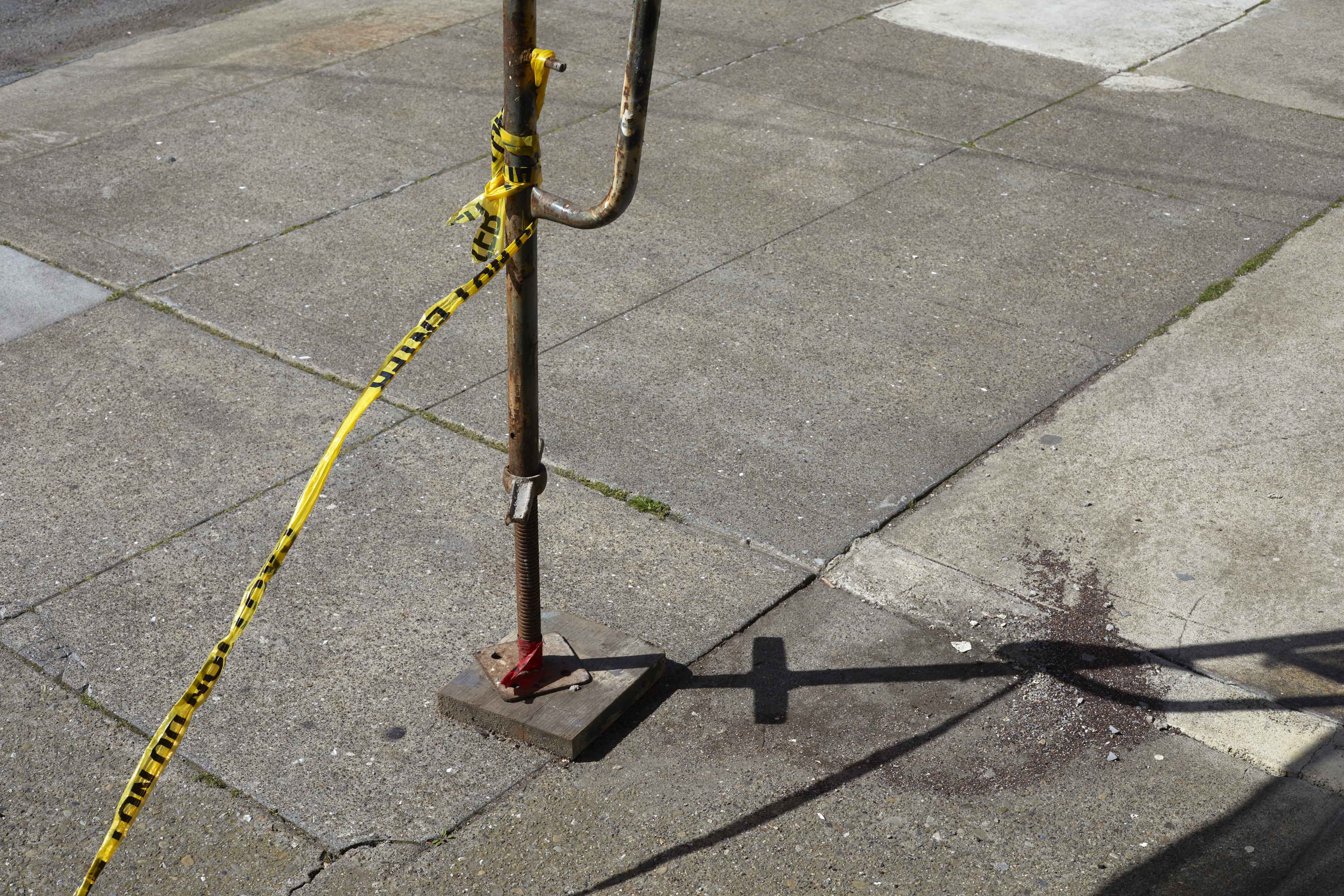 julien cregut-Lost Dogs-©juliencregut