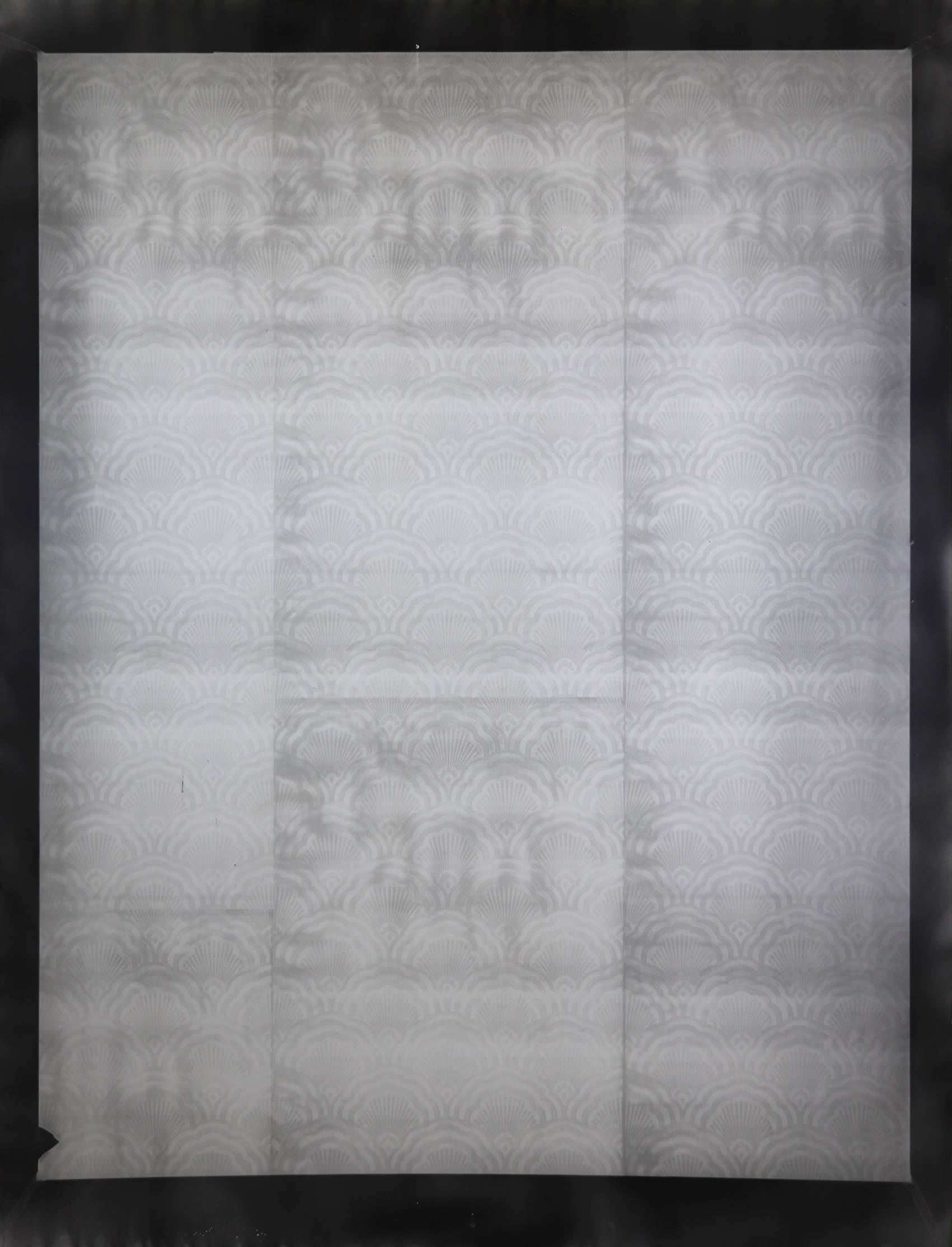 Shells   Silver Gelatin on 300gsm Paper 200 x 150 cm