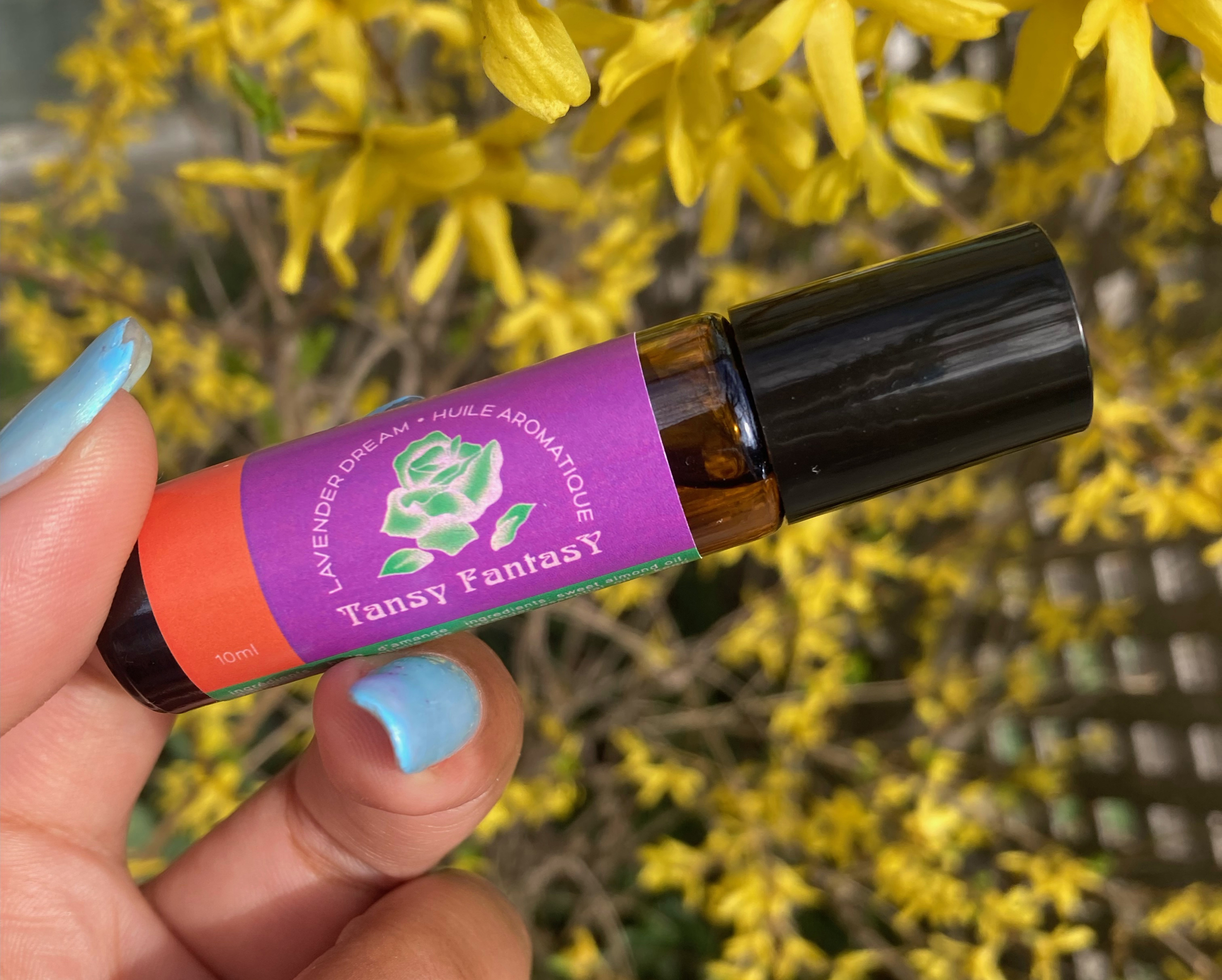 Logo and branding for Tansy Fantasy.