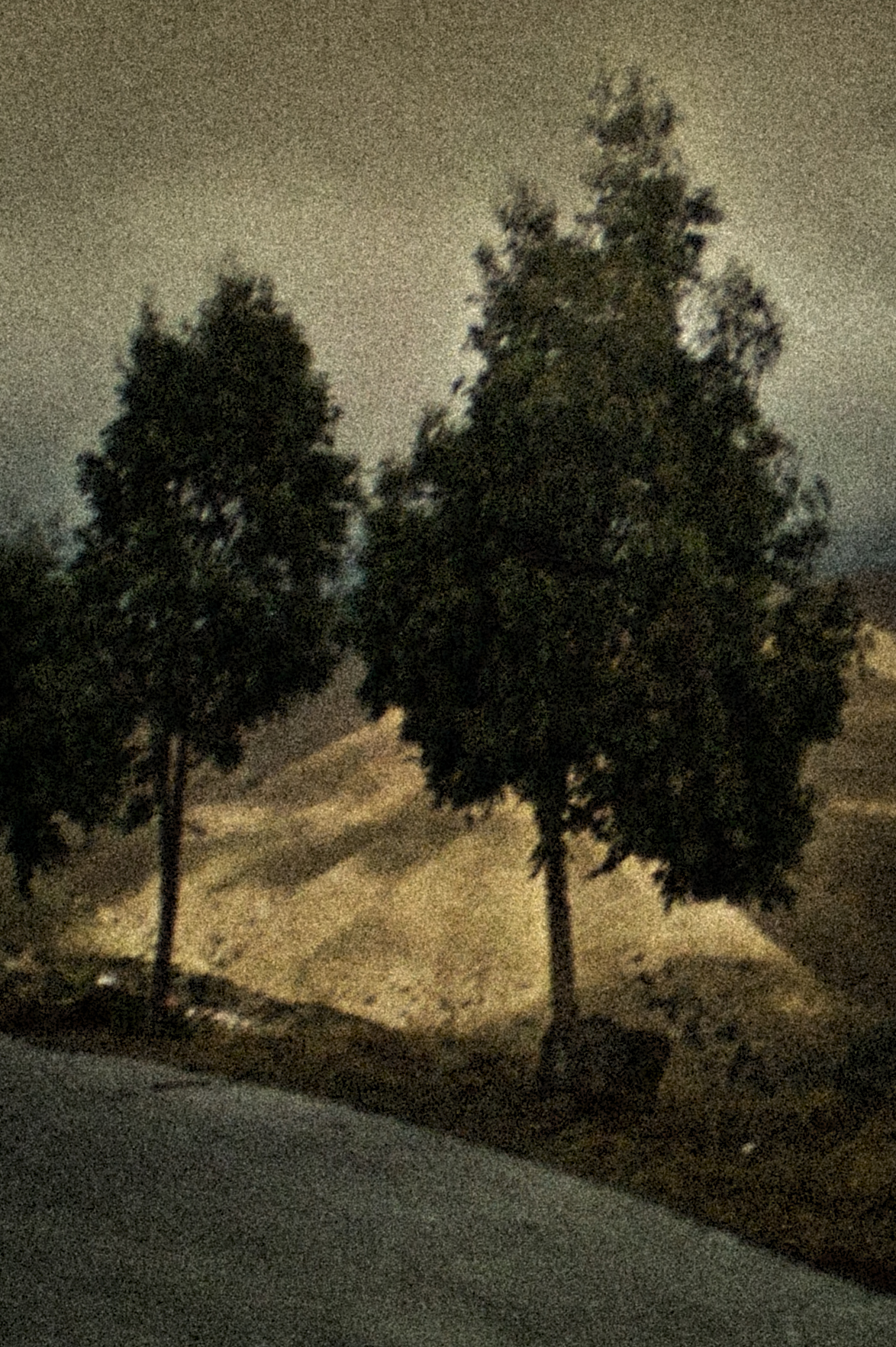 Ano Meria, 2019-2020