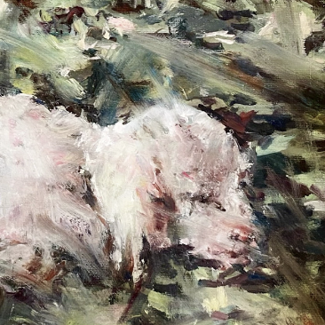 Shove / Mali Velasquez