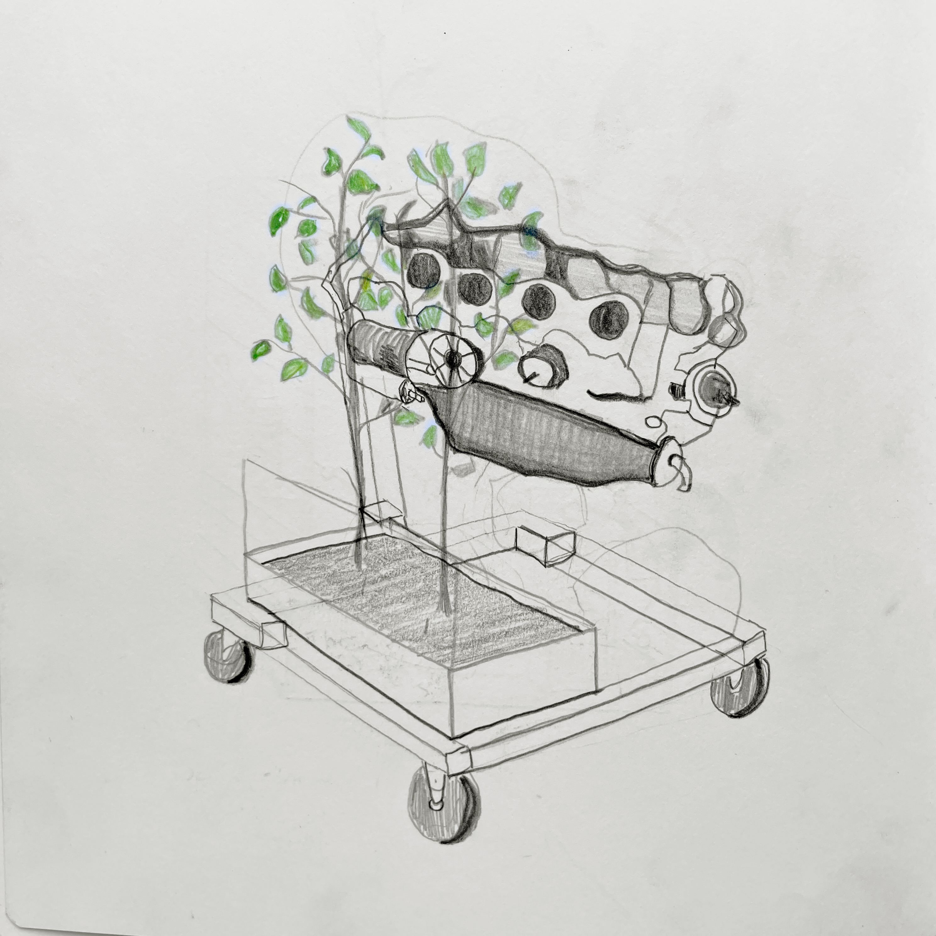 Dysfunctional Garden