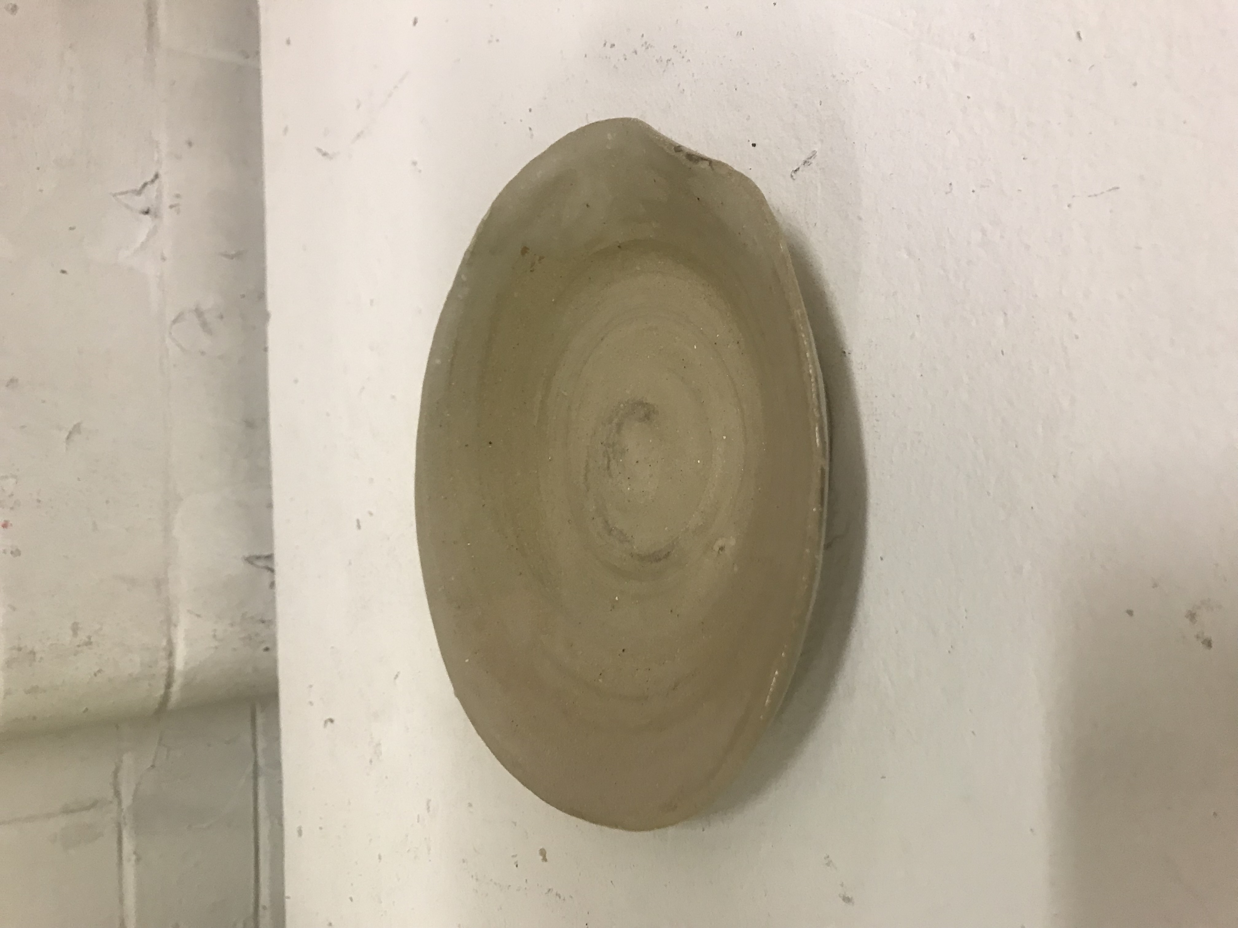 Wheel Thrown Plate