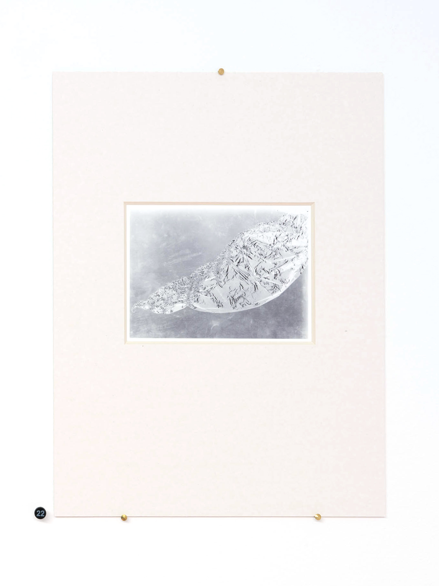 N&deg;22 - Edil Flaminio 