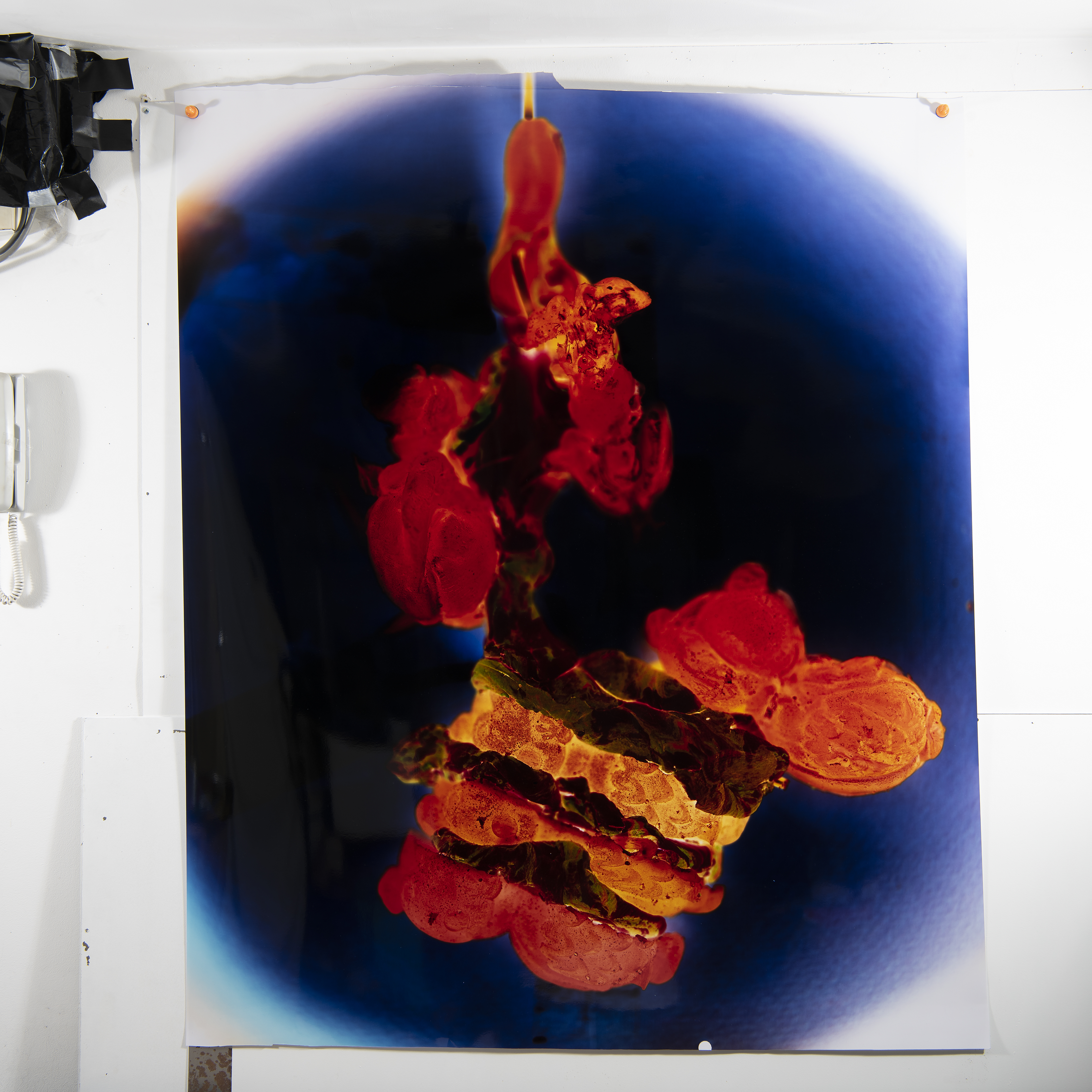 Mess Package (purple) no 8 | 1270 x 1524 mm, 50 x 60 in (approx) |  Direct from camera obscura, photographic paper image