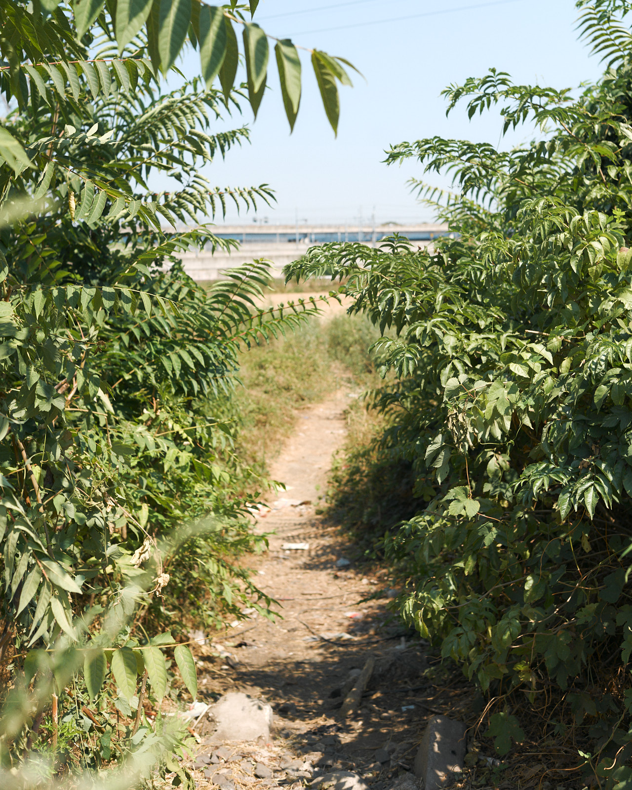 Entrance, Rogoredo, 2022