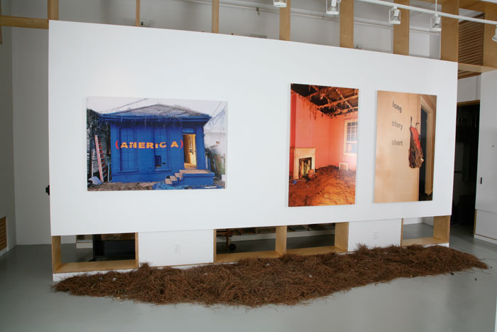 (America), 2010, cibachrome, pine needles, rhinestones, empty shell casings, installation for "Creation and Destruction", Richard Massey Foundation Collection, New York City