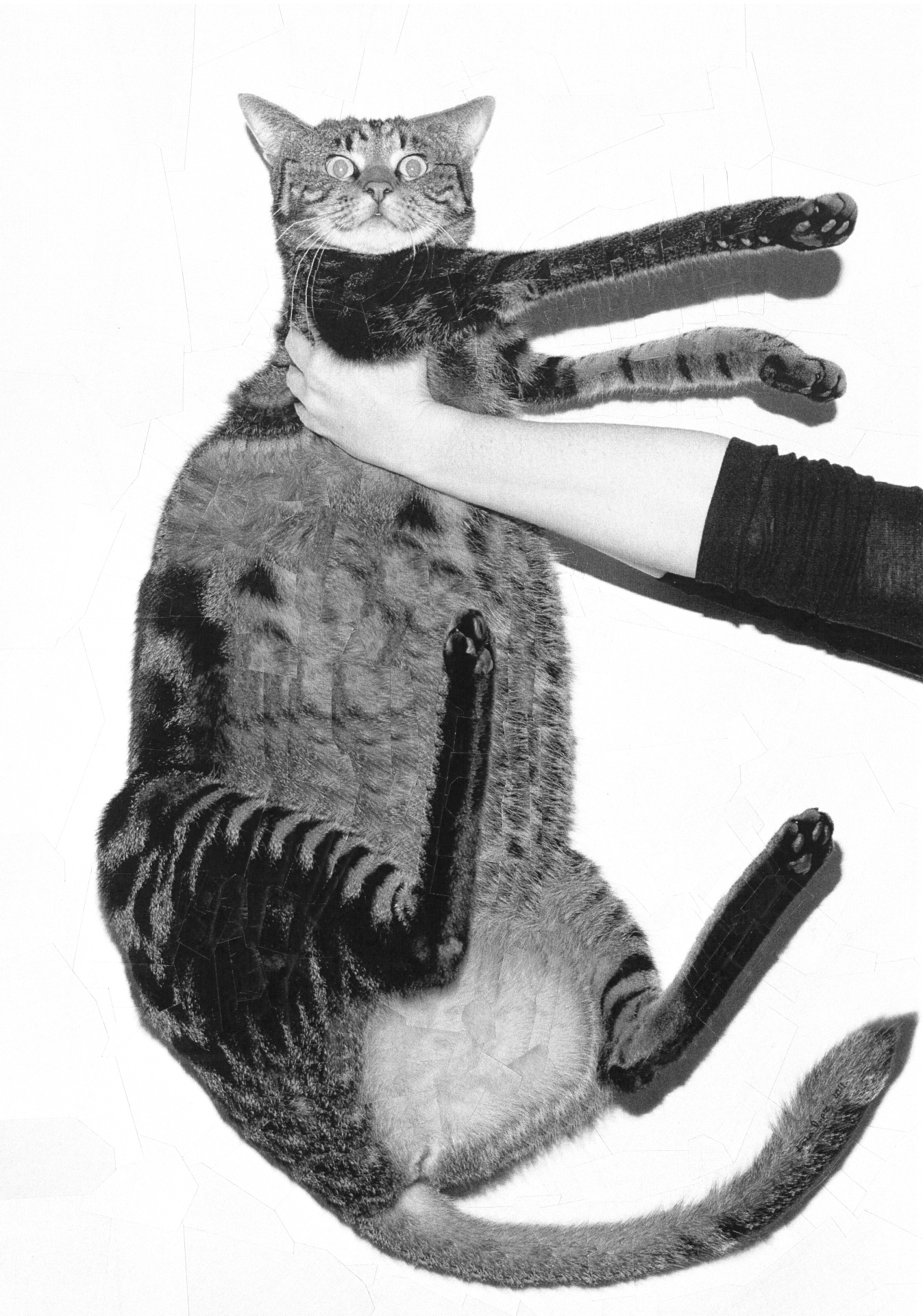 Vince II with Michelle Tran, 2011, 8.2 x 11.6 inches