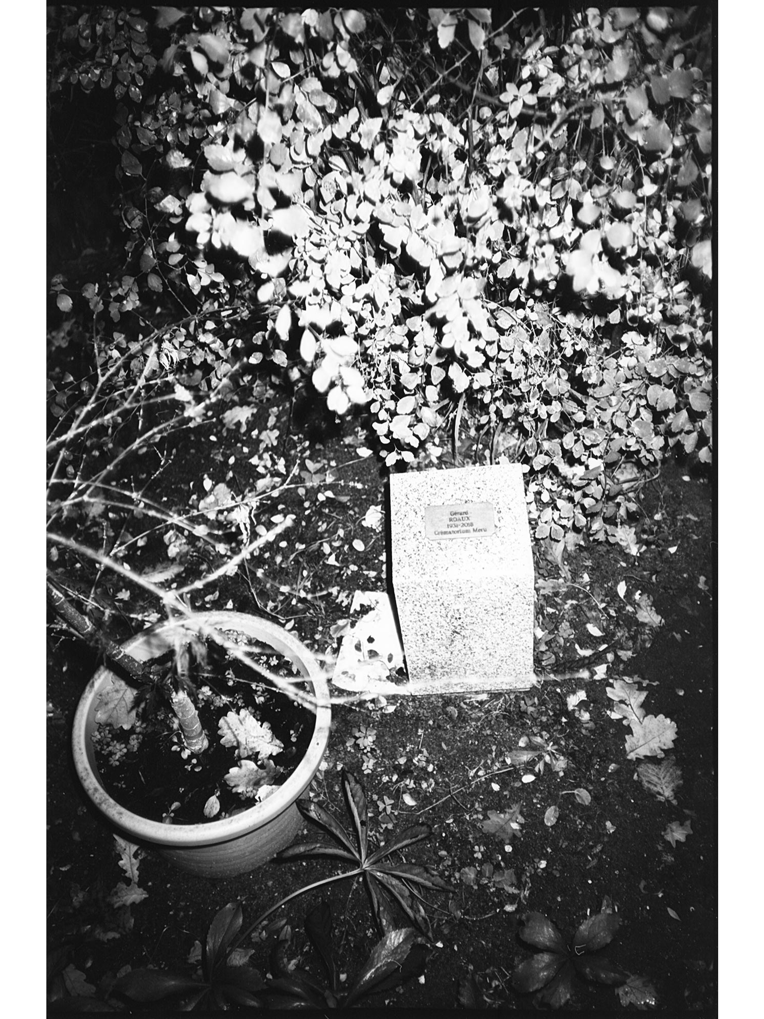 C’est moi qui éteins les lumières - Zoyâ Pirzâd