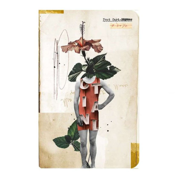 María José S. Acera