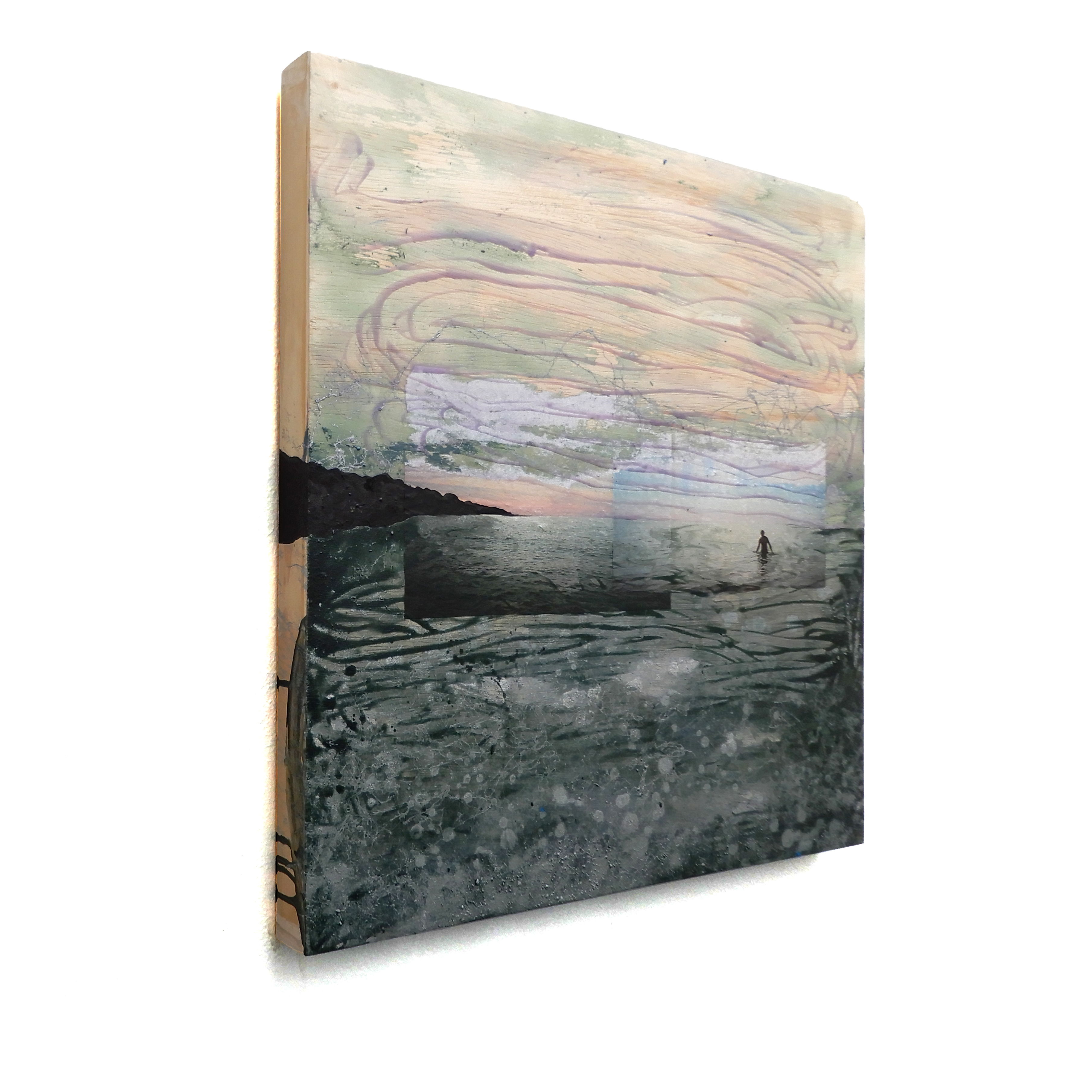Lagoon Wader, 24 x 24 inches, acrylic, enamel, ink, and photograph on wood panel $300
