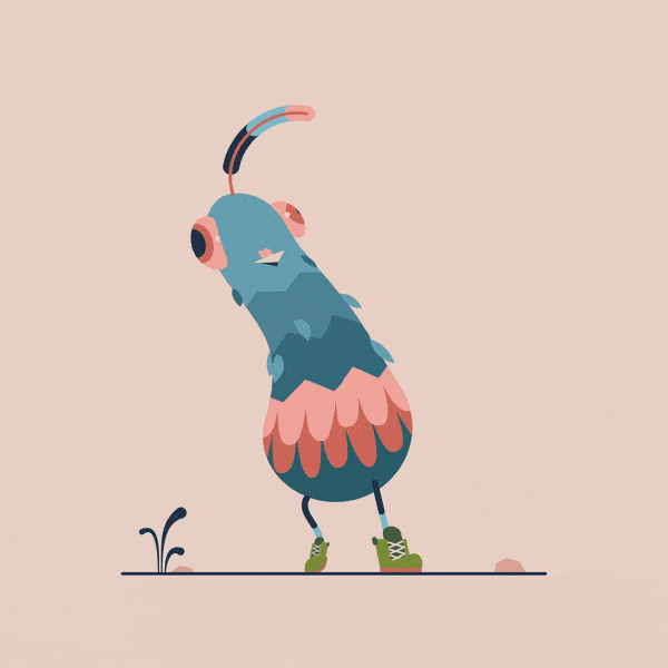 Without any movement on the ground the pigeon looks like it's skating in place (slide me »)