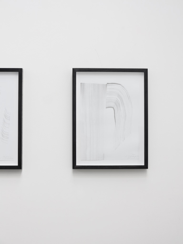 Lisa Lerkenfeldt, Two, 2020, Ink on paper, 35.5 x 27 cm, framed. Collection the artist.