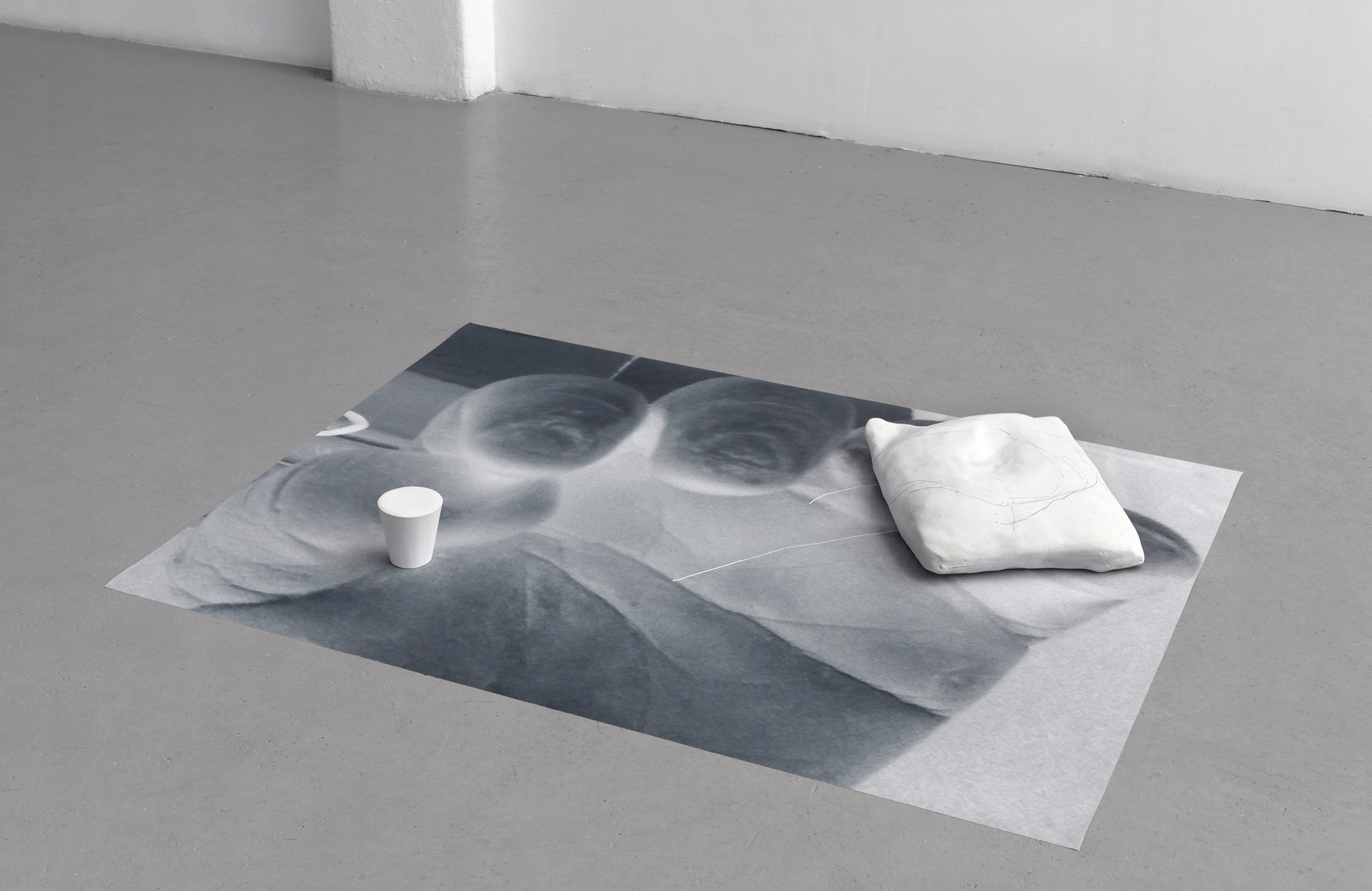 Oh, this happiness is strong stuff, 2014 Two plaster objects, pencil on digital print 124 x 98,5 x 8 cm