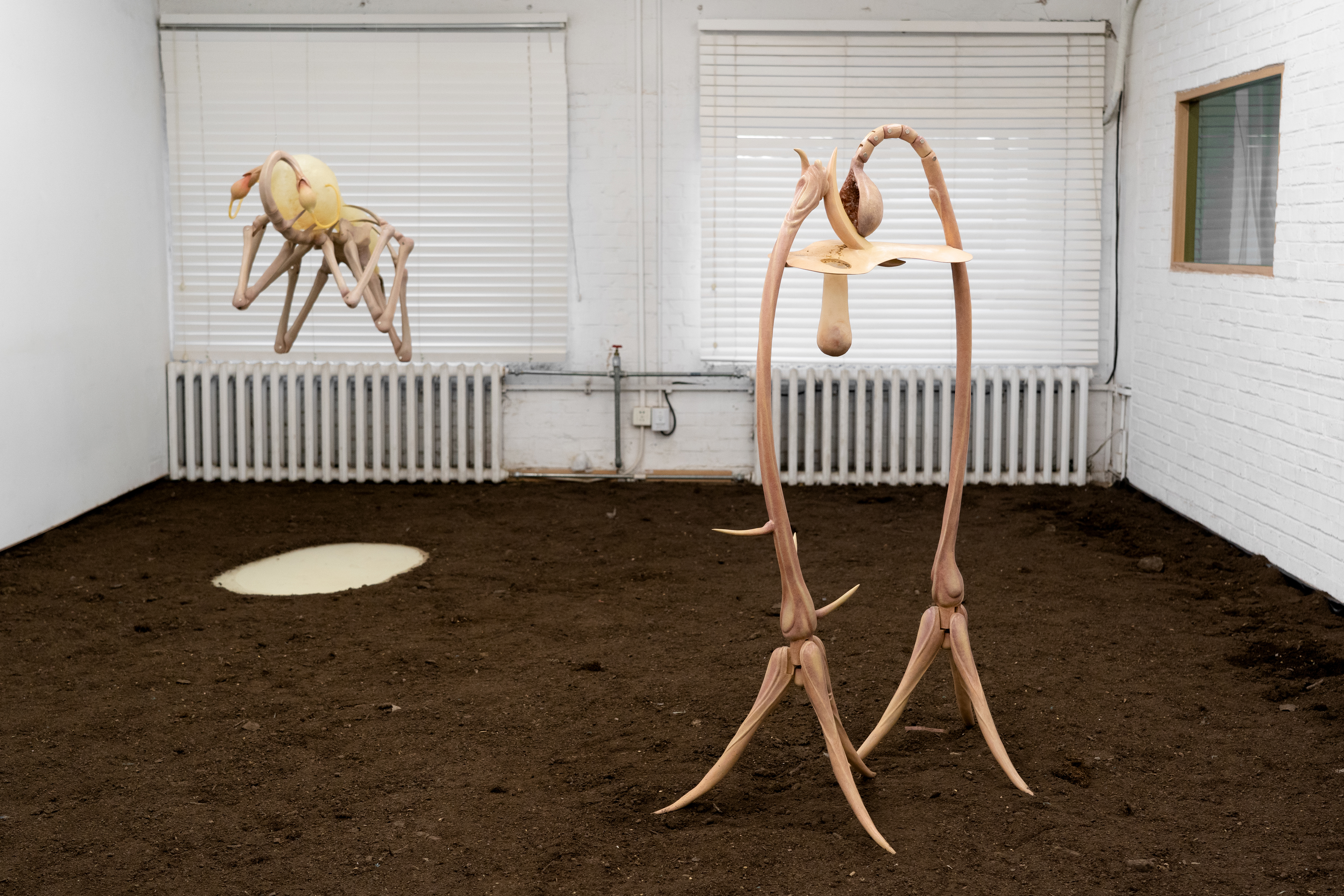 The Body Knows Silently, Caijin Space, 2021 