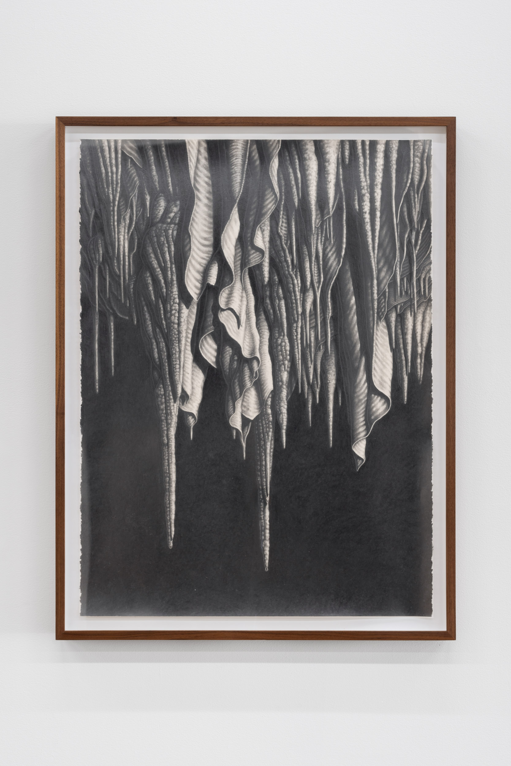 Sean Jena Taal, Drapery, 2025, 30” x 22” / 76.2cm x 55.9cm. Graphite on paper, framed and glazed. Courtesy of Norberg Hall.