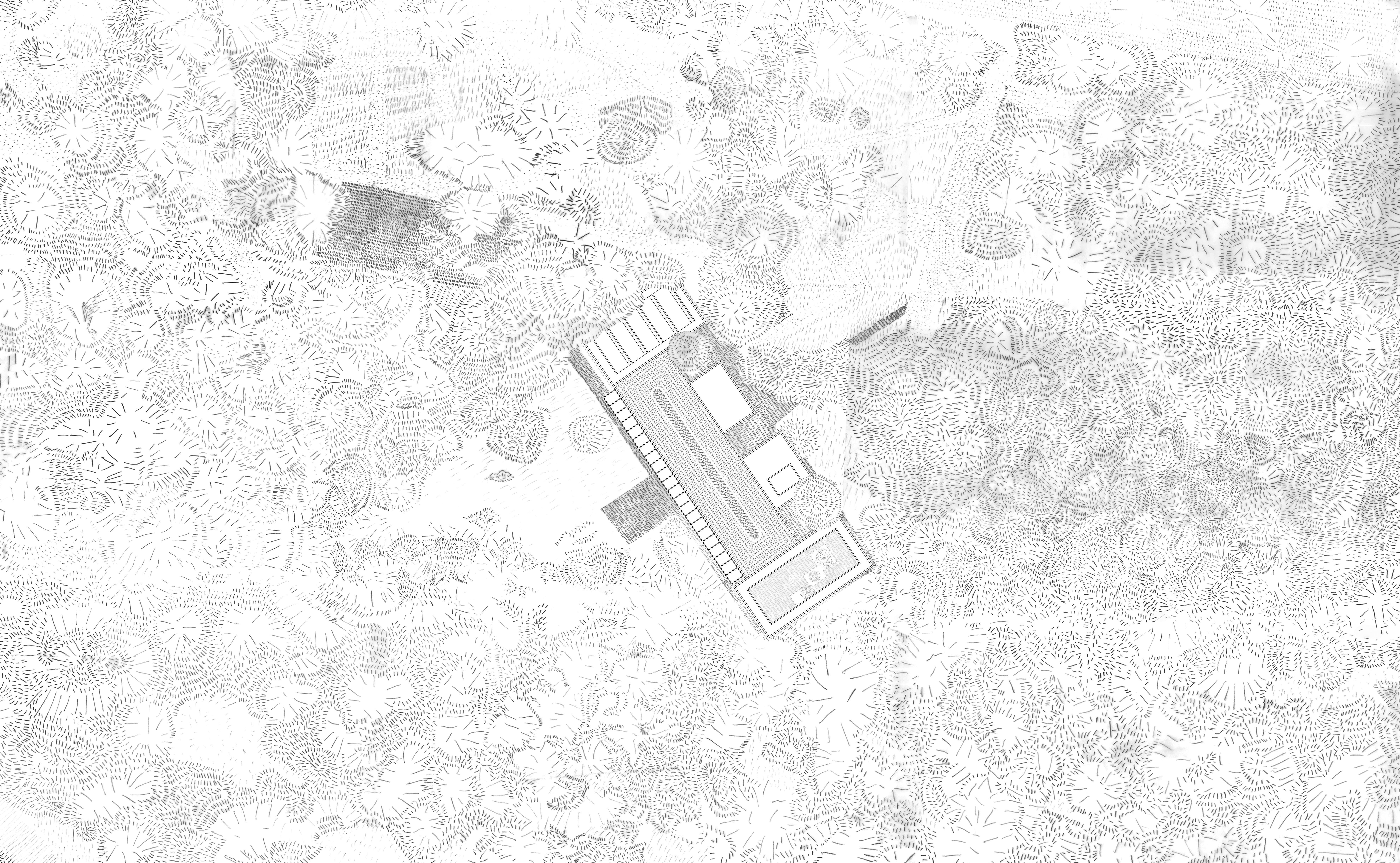 006 - PABELLÓN Y ORQUIDIARIO