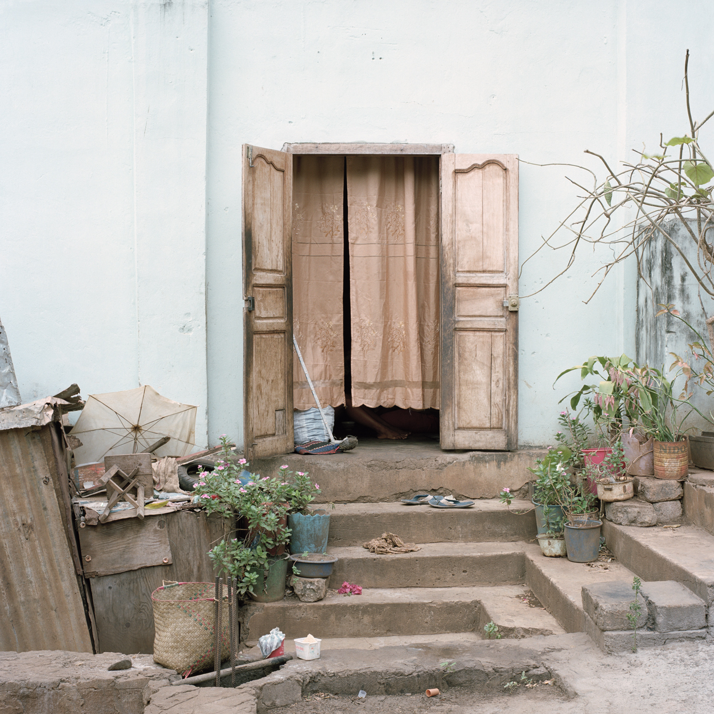 Planted Steps II, Antsiranana, 2009