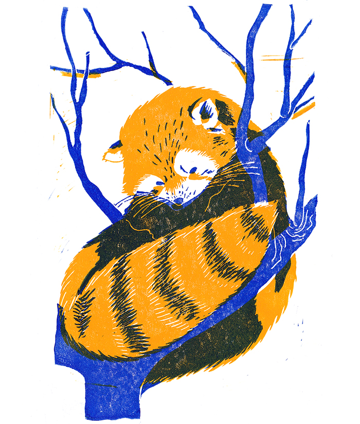 Red panda sitting on a tree