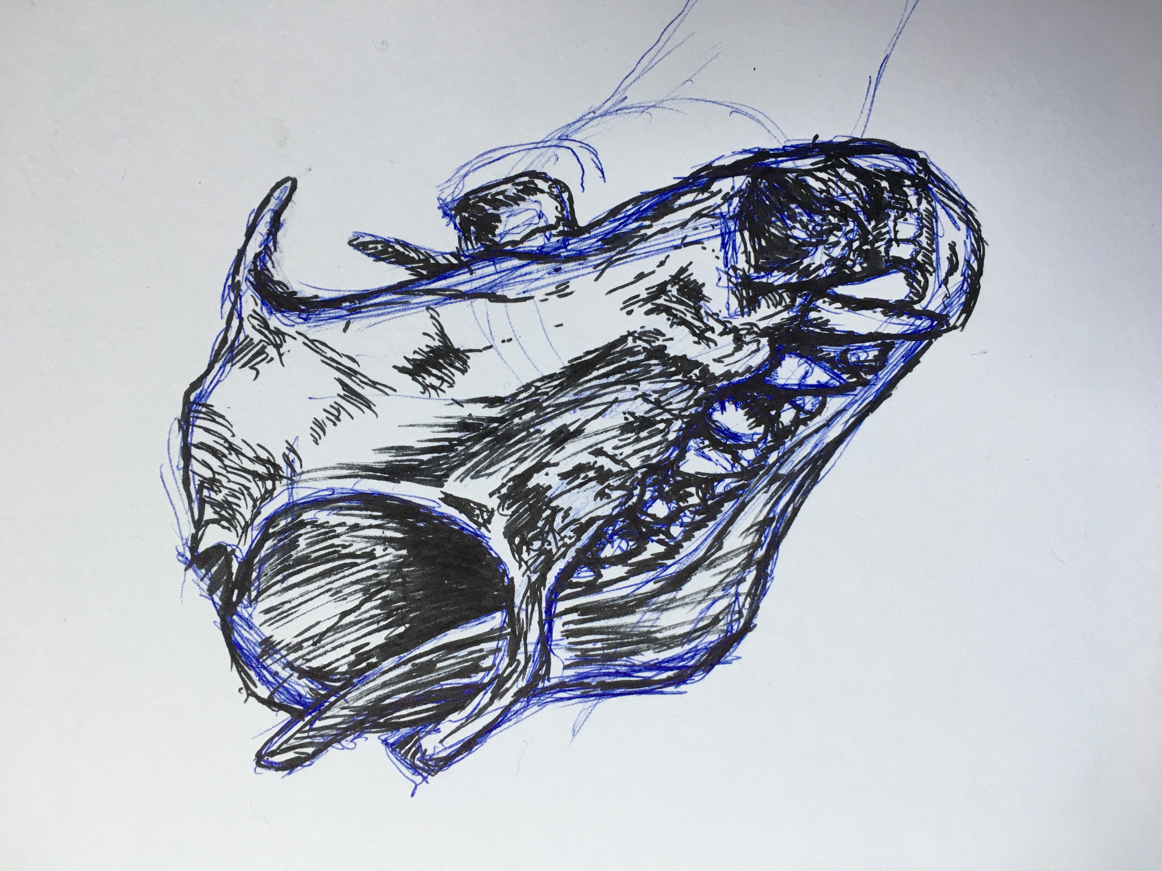 Day 4: Bat Skull // Skulltober