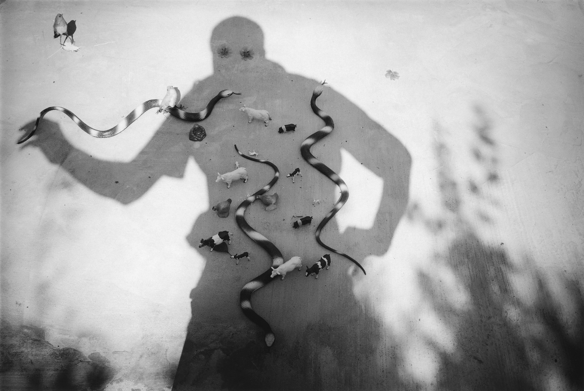Angel Self, 1997, 50 x 41 cm, 51 x 41 cm, Selenium Toned, Silver Gelatine Print