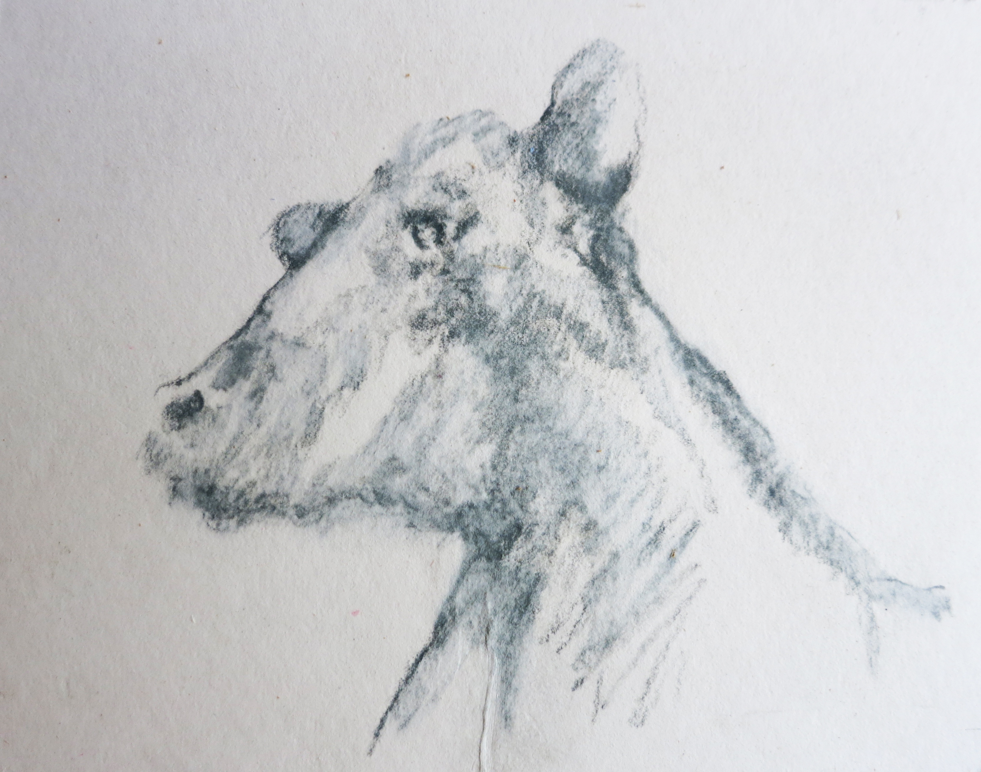  Ink on paper &ndash; 11&rdquo; x 8&rdquo; 