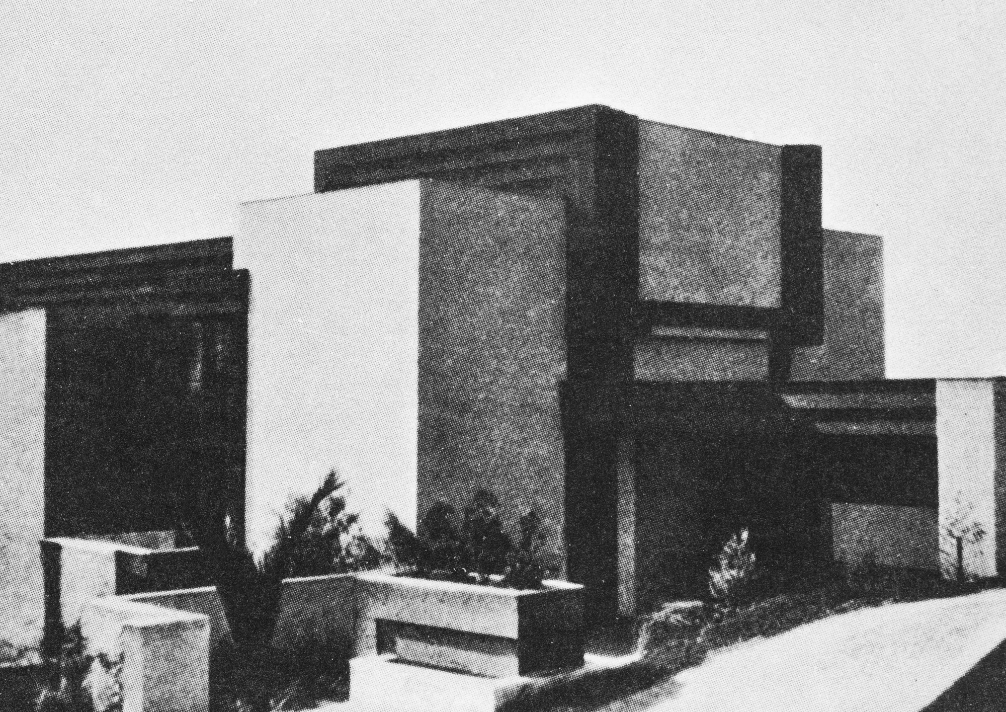 3/5 &mdash; WINDOWS: GREEN JUNGLES