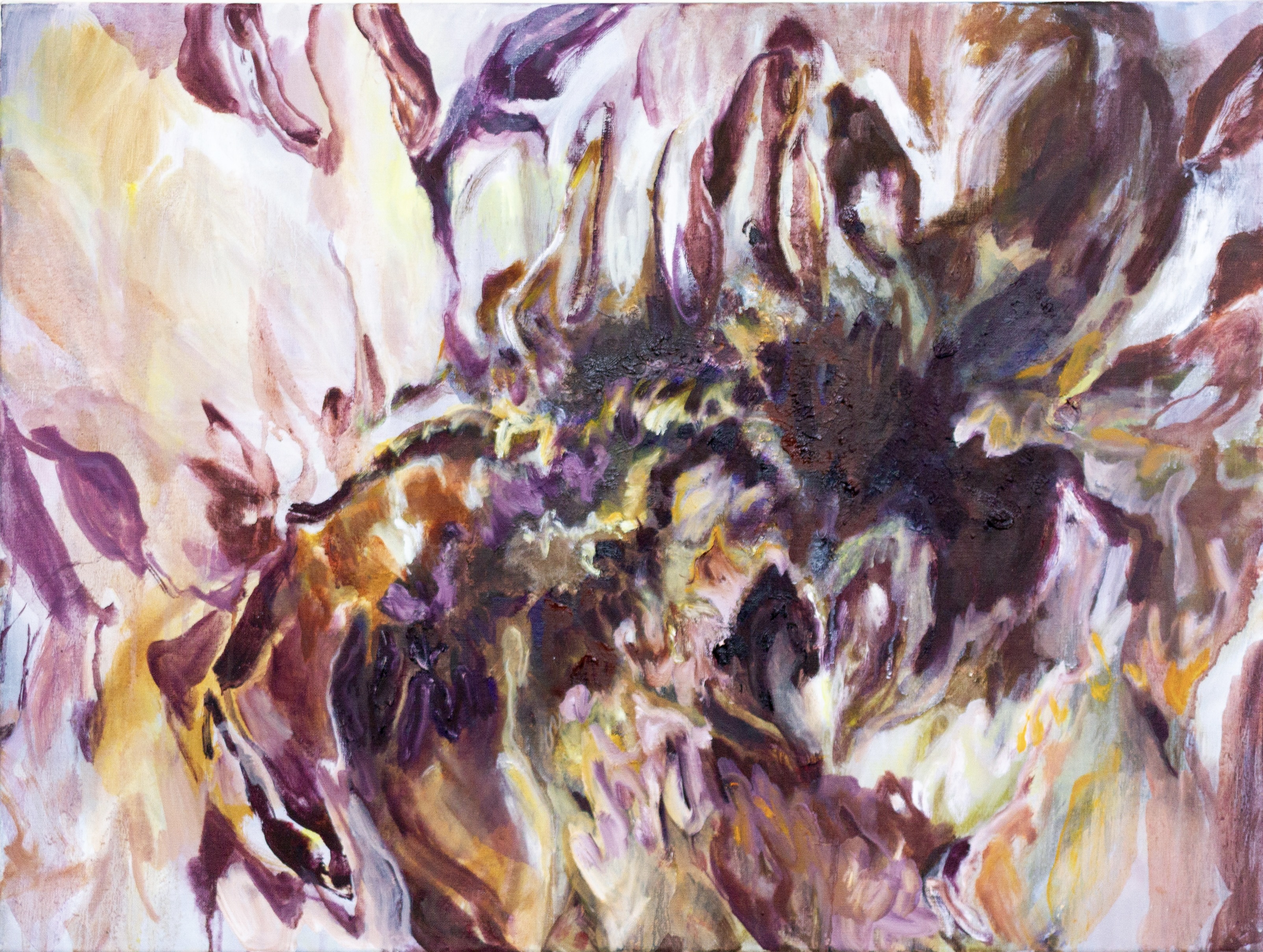 Fields of Gold (2024) 60 x 80 cm 