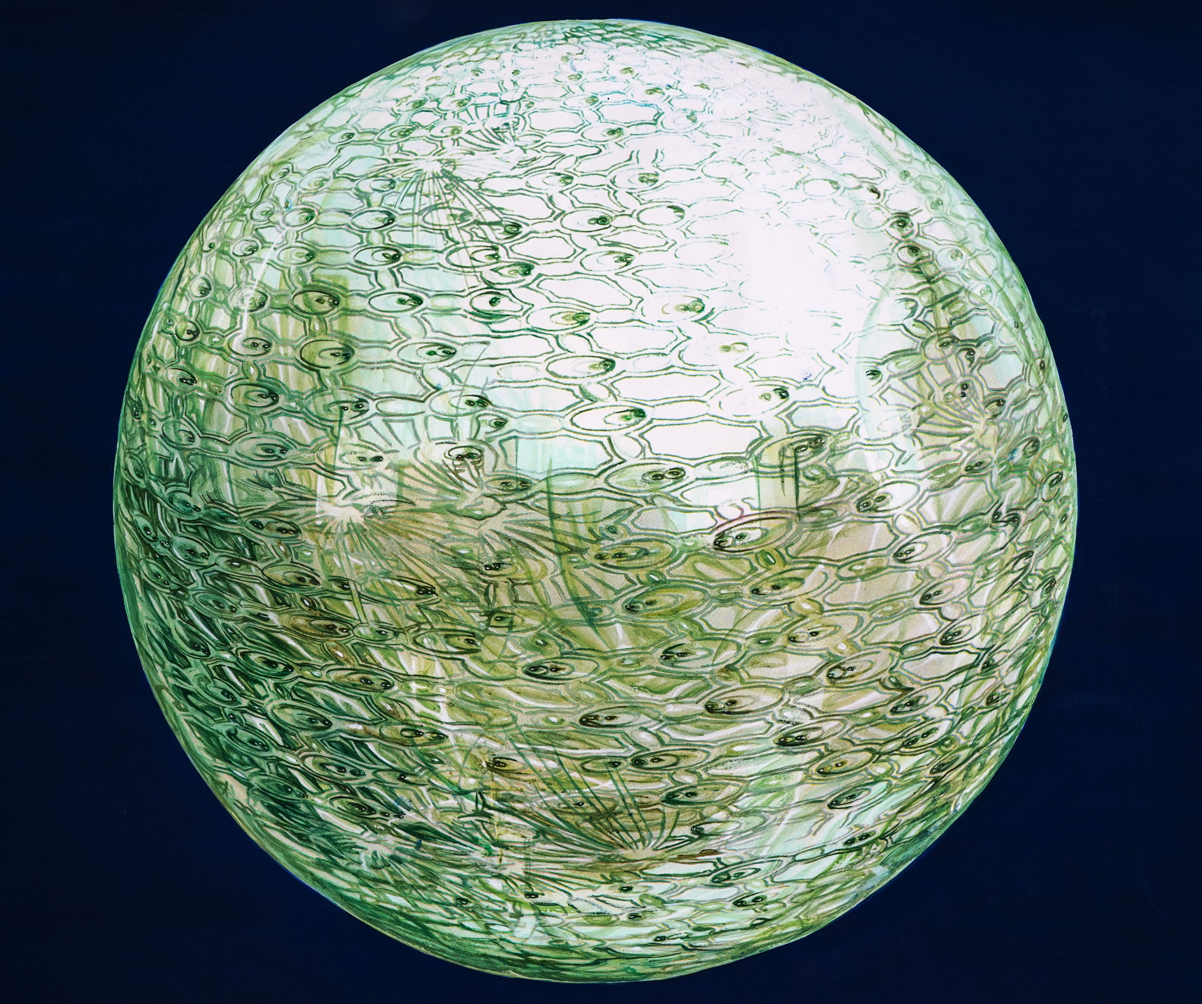 Pearls 4 (Primary Structure) 2021-2024, acrylic and CMYK silkscreen on Somerset Satin paper, 91.44 x 76.2 cm / 36 x 30 in