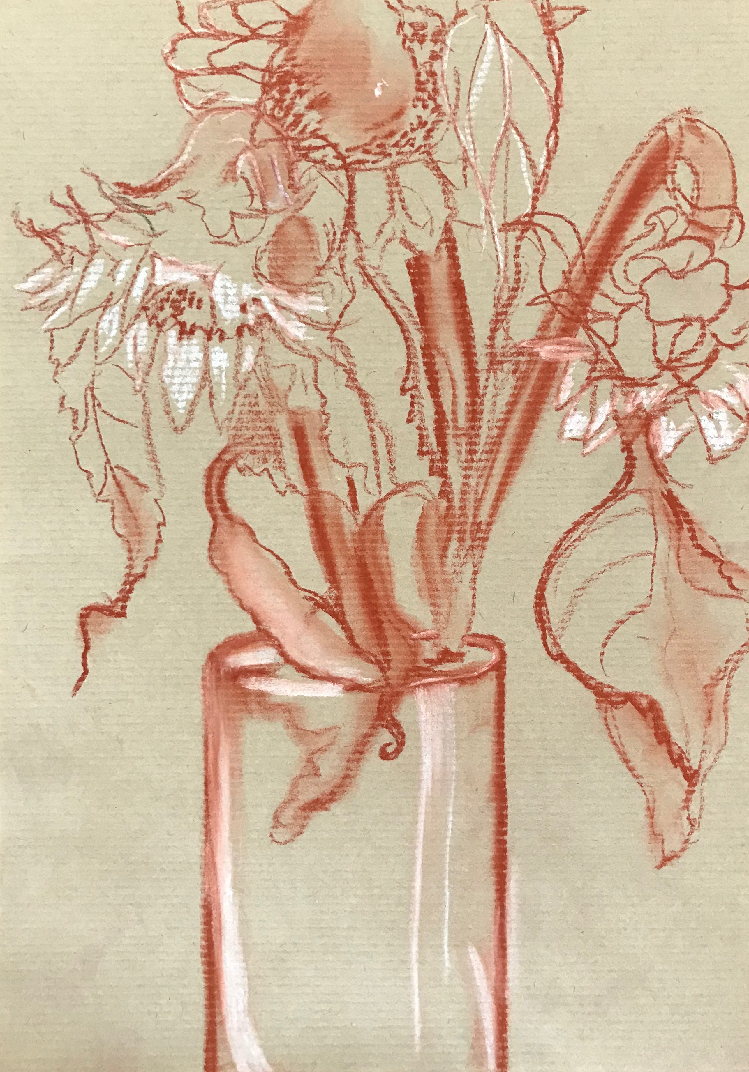 Sunflowers, 2020Chalk on paper  11 3/4 x 8 1/4 in.  29.7 x 21 cm