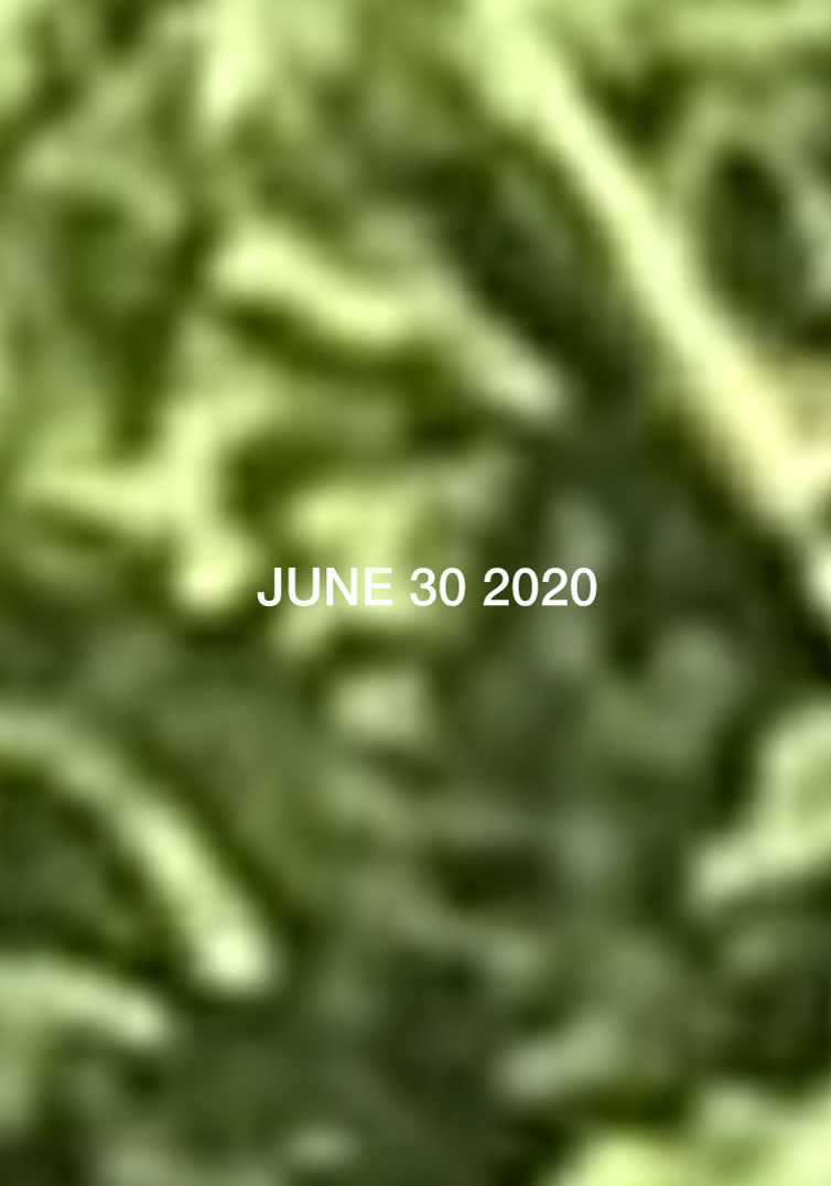 Sveinn Fannar Jóhannsson