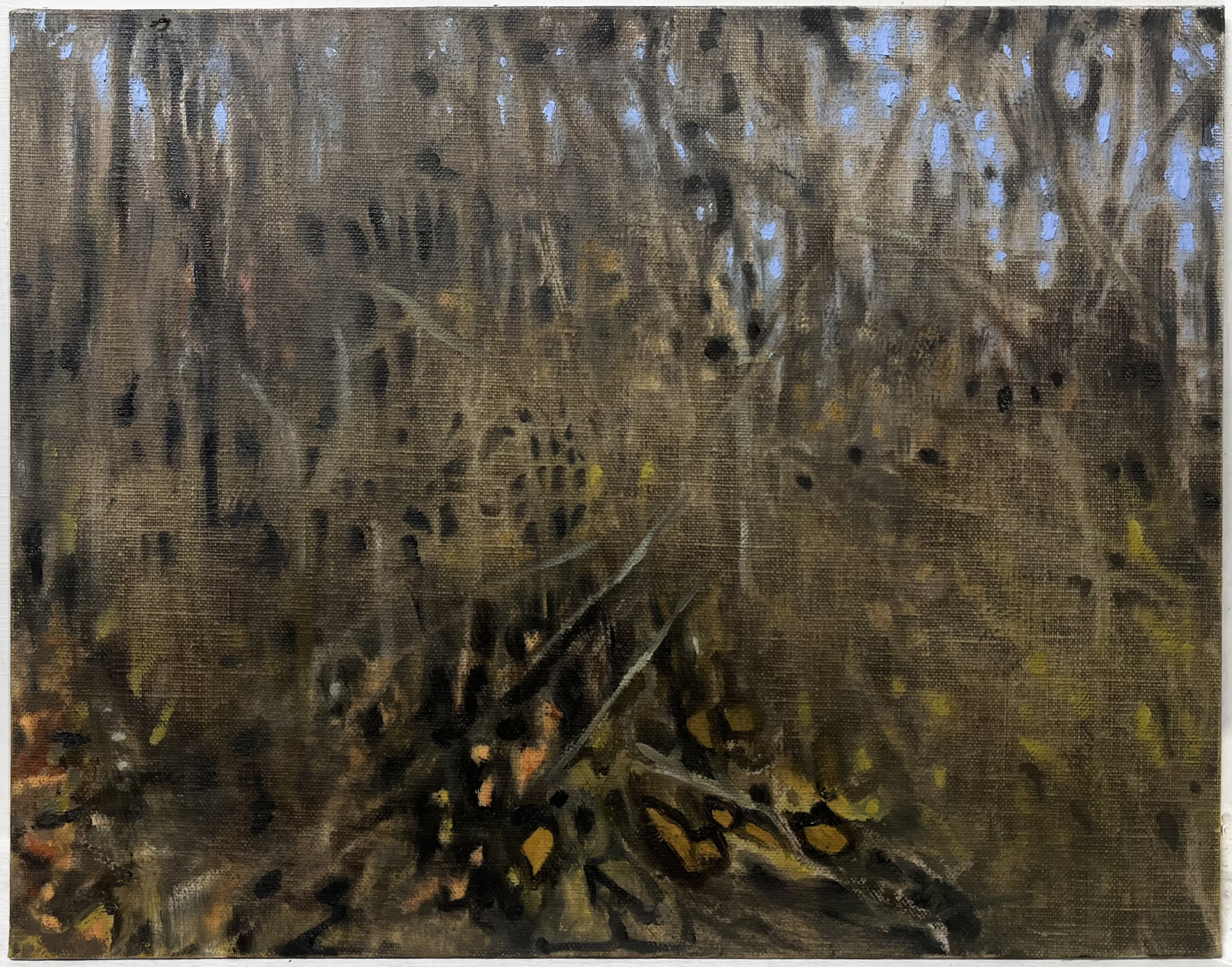 forest moving into dusk | 11 x 14 inches | oil on linen panel