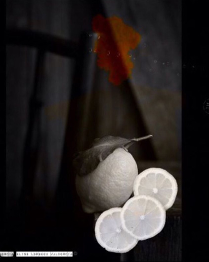 Elise Valdorcia Lorgeou