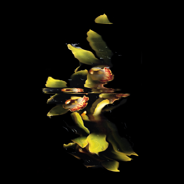 Static Flower: USA 2