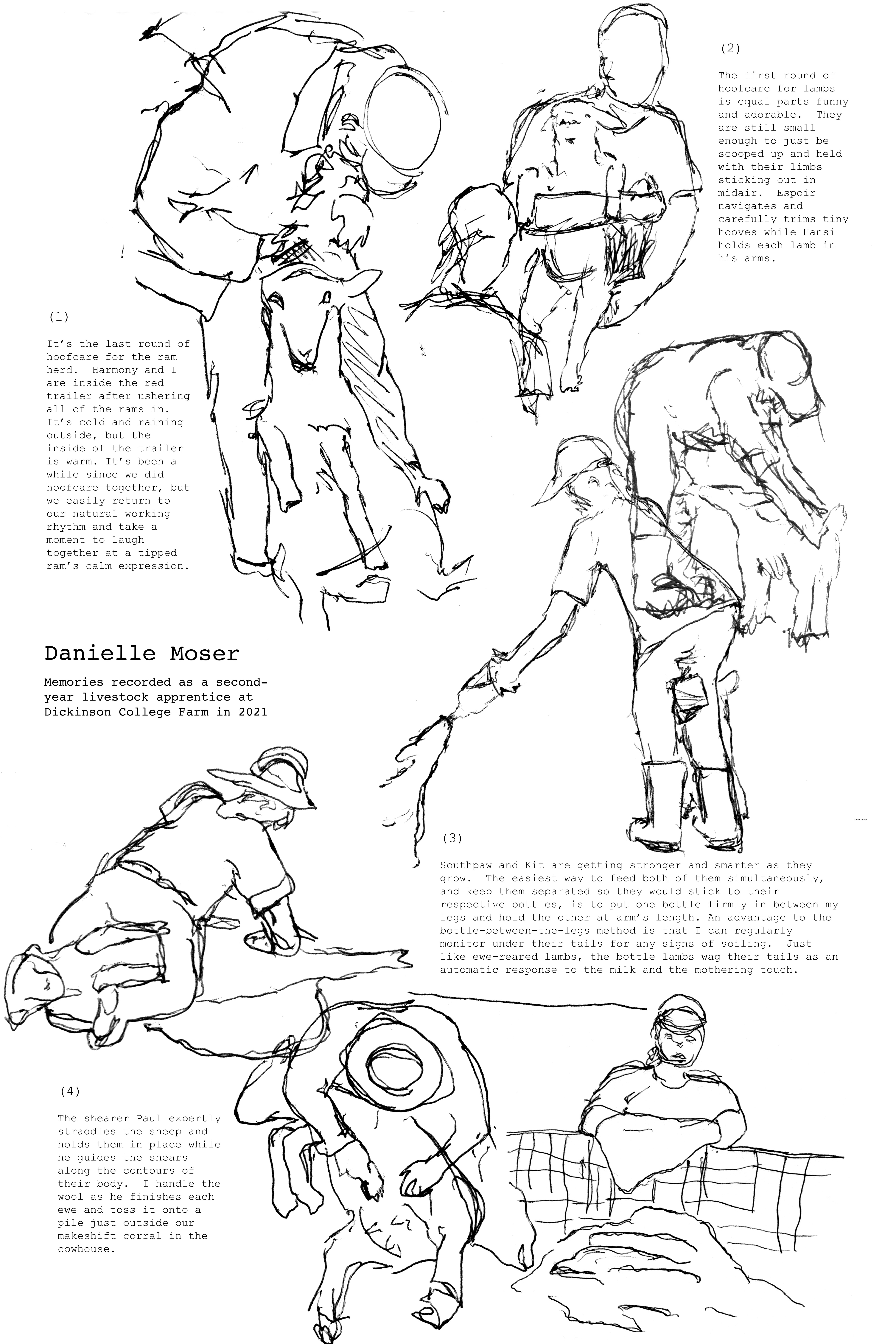 Drawings and memories by Danielle Moser