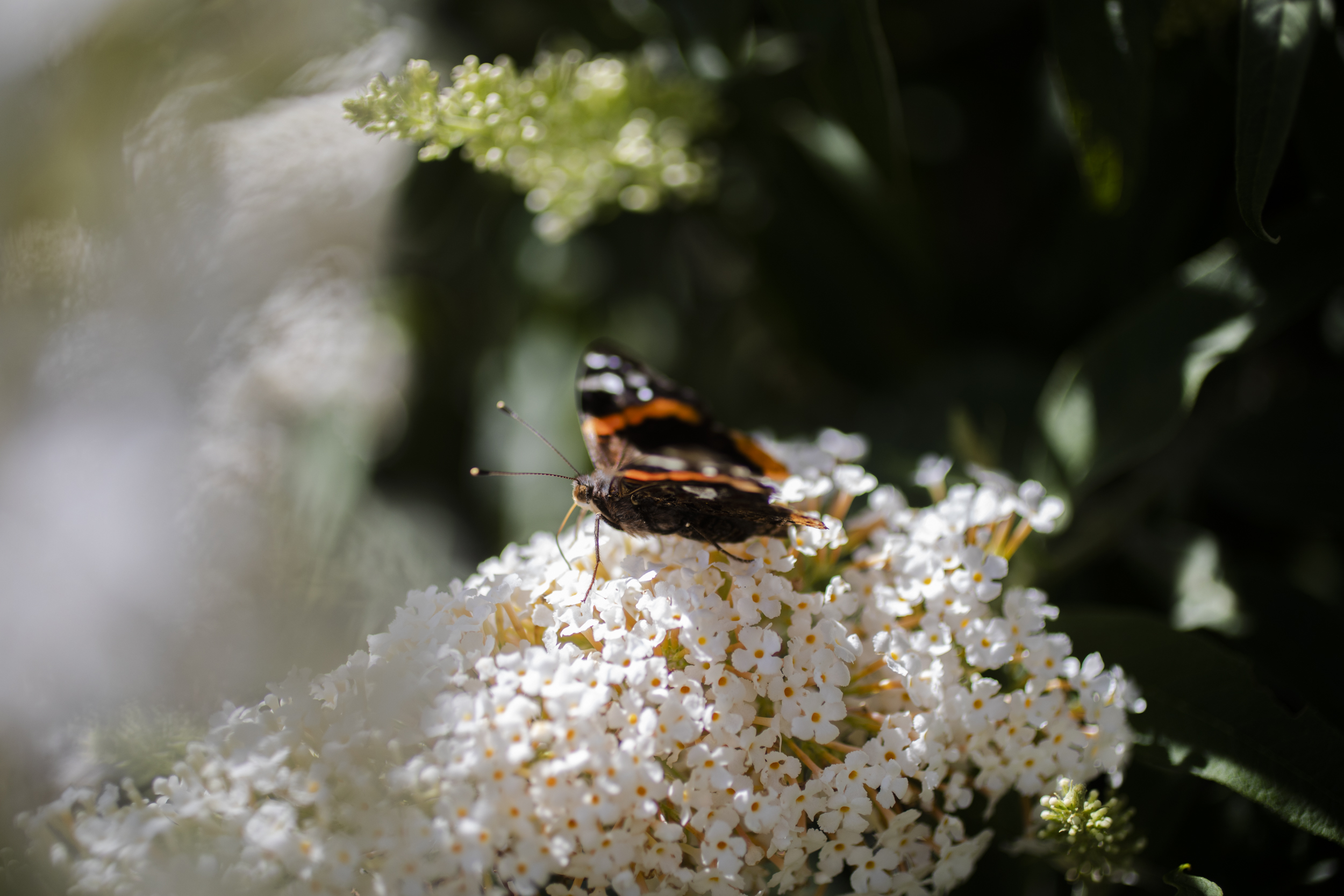 Insect Hotel for The Wall Street Journal