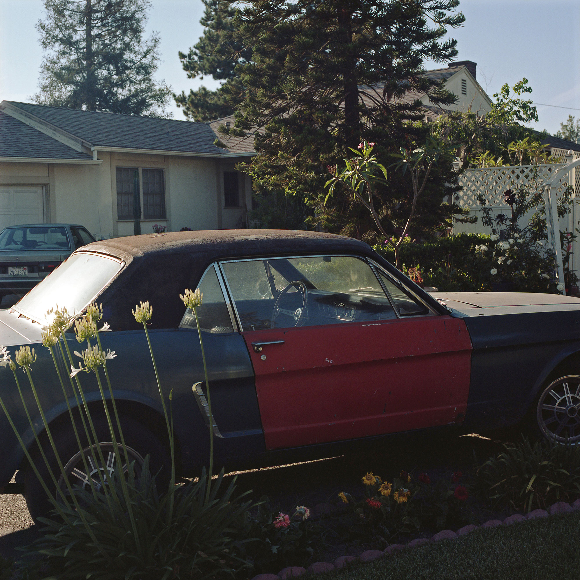 Light on Steering Wheel Los Angeles, CA, 2016