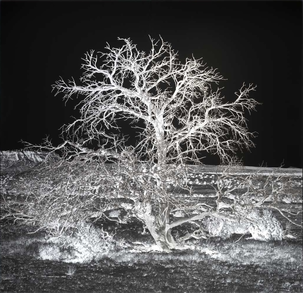 GENEVI&Egrave;VE CADIEUX