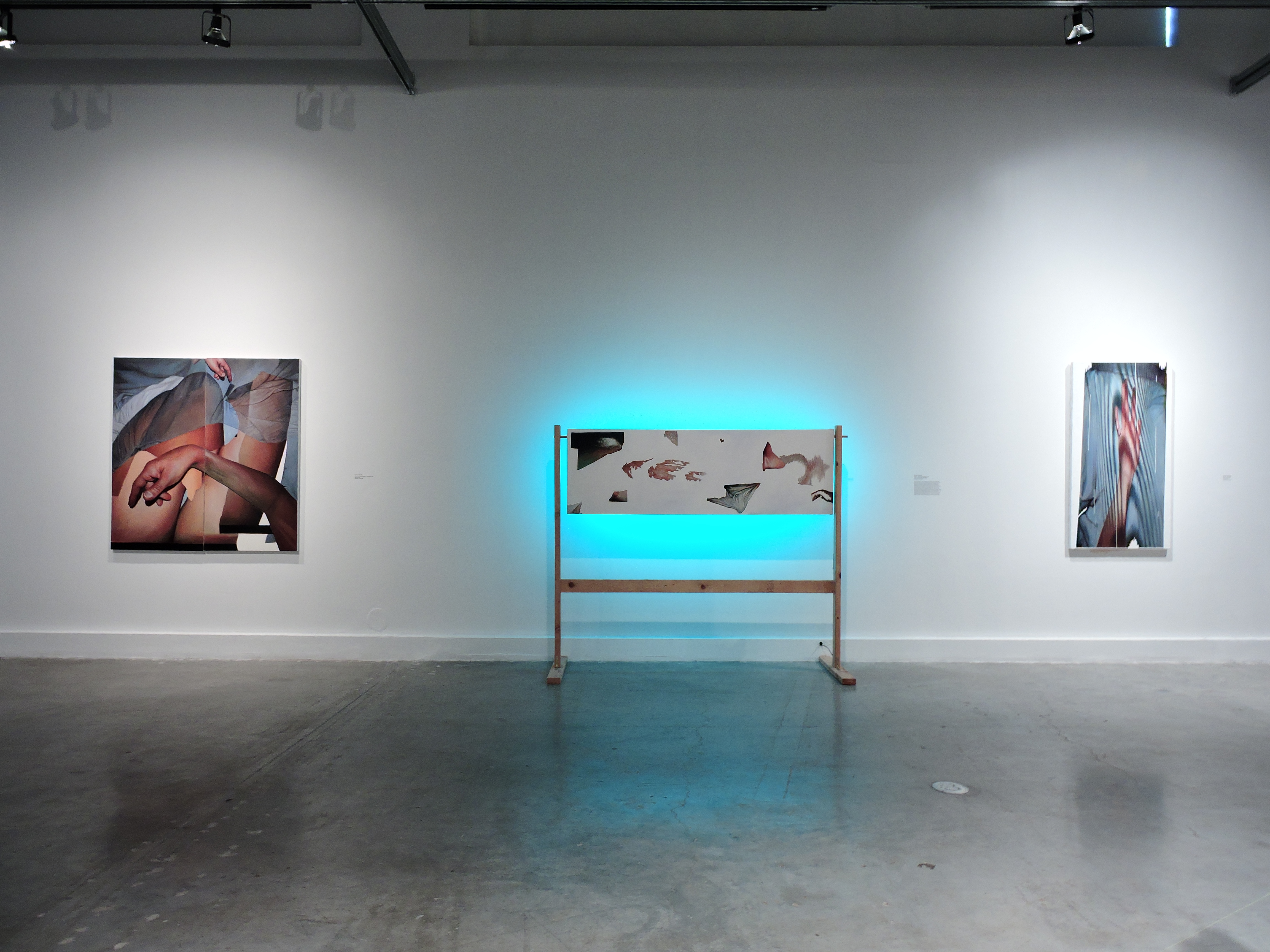 South Florida Cultural Consortium, Museum of Contemporary Art North Miami, 2019, North Miami, FL