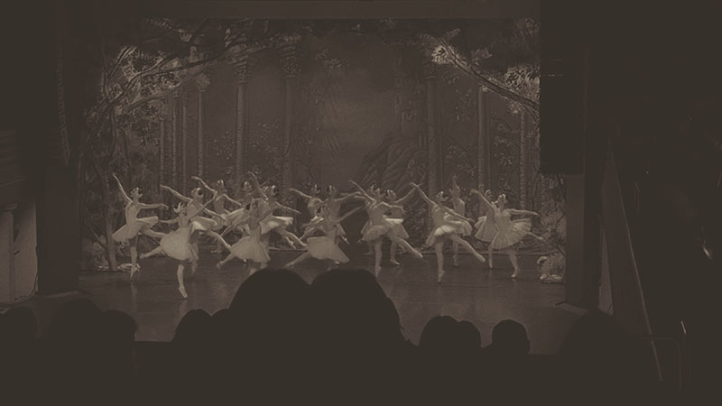 Ein Atemzug sp&auml;ter entfaltet sich der Tanz aller Schw&auml;ne.